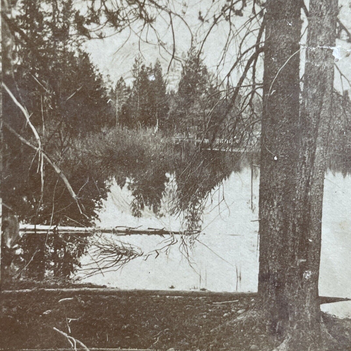 Antique 1880s Yosemite Park Calfornia Mirror Lake Stereoview Photo Card P3522