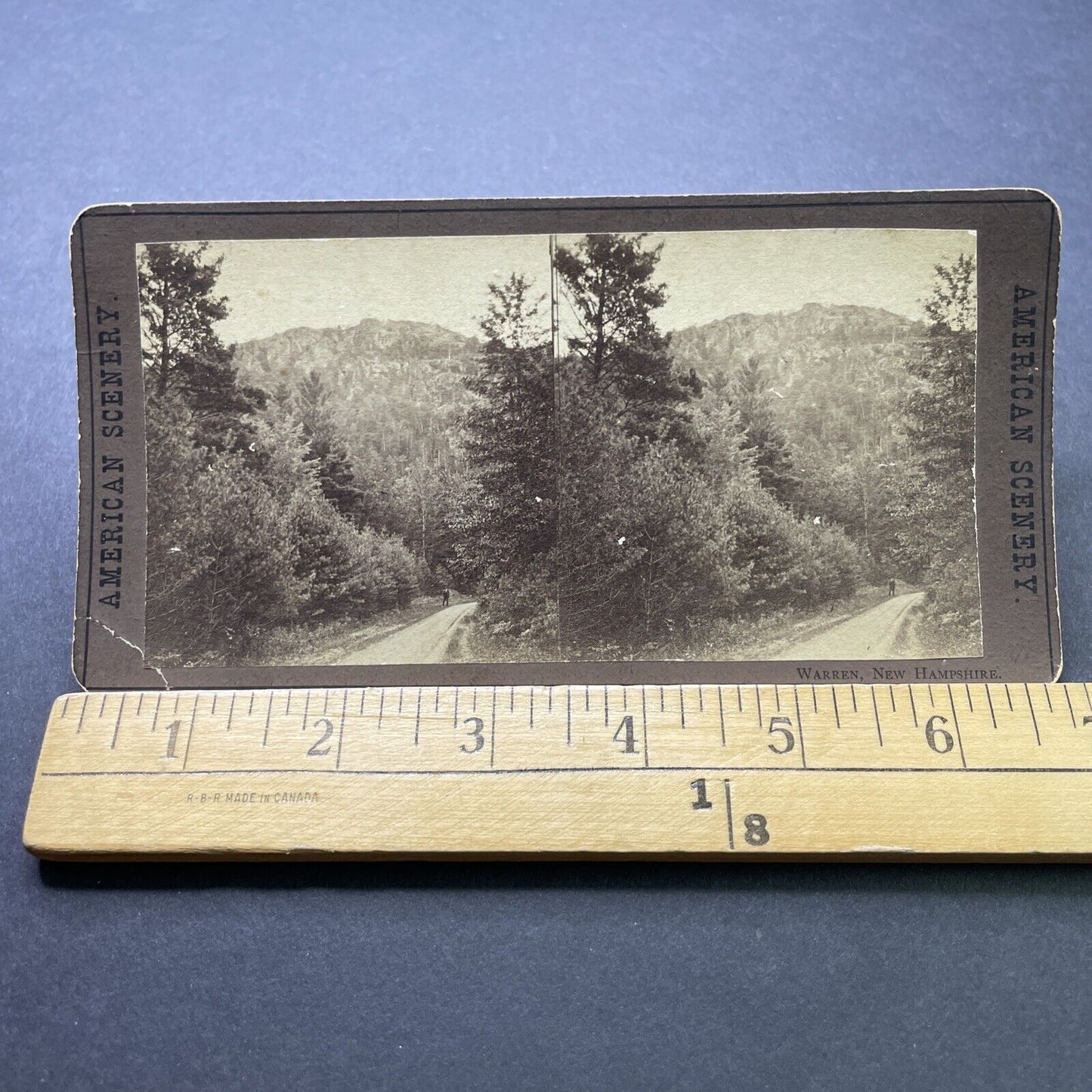 Antique 1880s A Roadway In Warren New Hampshire Stereoview Photo Card P2435