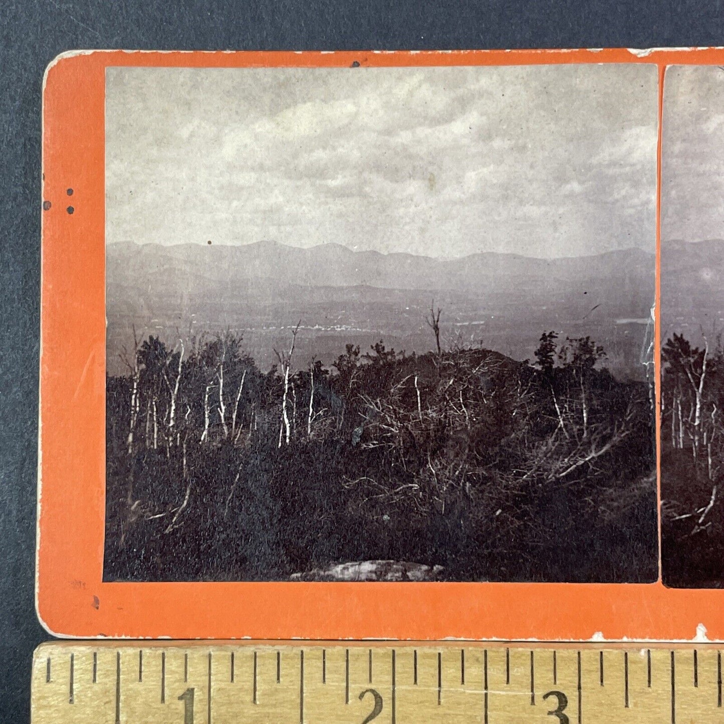 Center Sandwich Forest Fire Stereoview A.B. Hoag Photo Card Antique 1871 X892