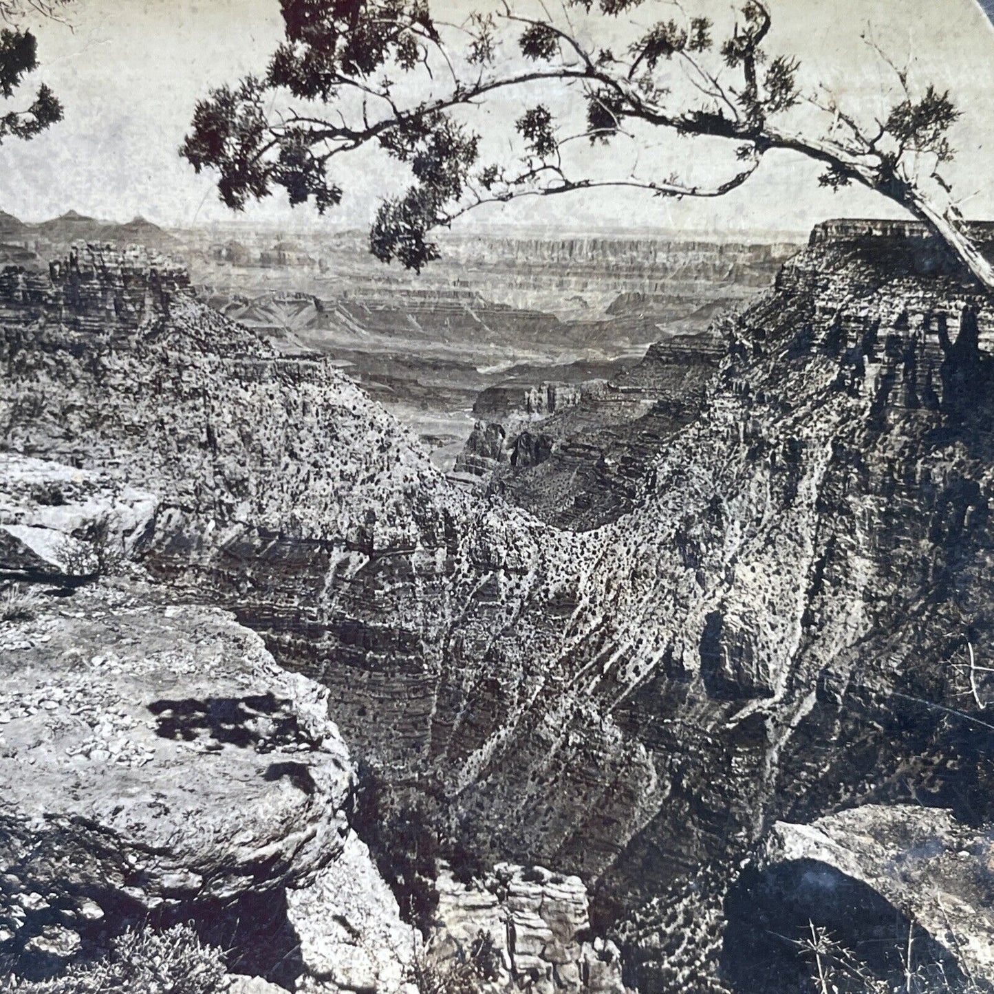 Antique 1905 Grand Canyon Views Arizona USA Stereoview Photo Card P2368