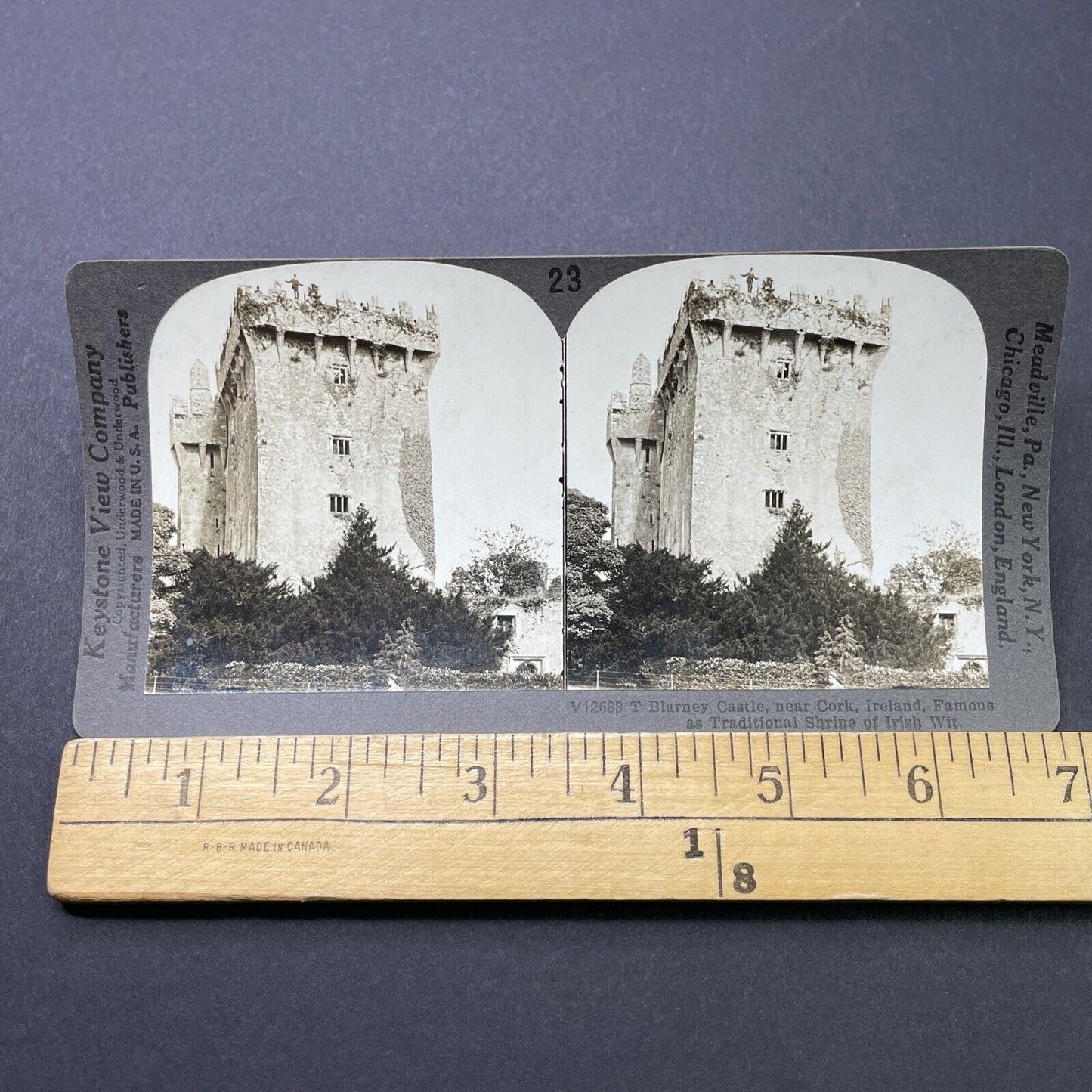 Antique 1910s Blarney Castle Dromderrig Ireland Stereoview Photo Card P2816