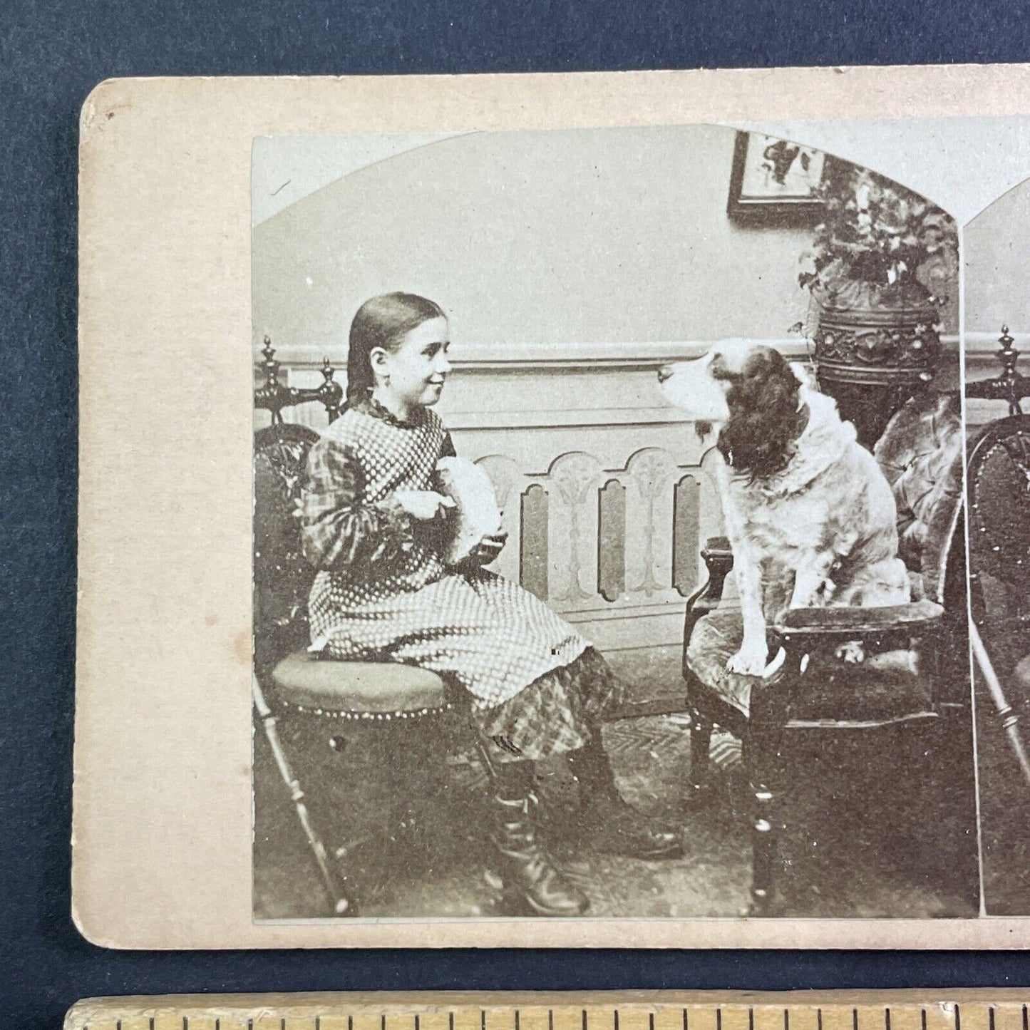 Young Girl Feeds a Dog Some Bread Stereoview Antique c1860s Y112