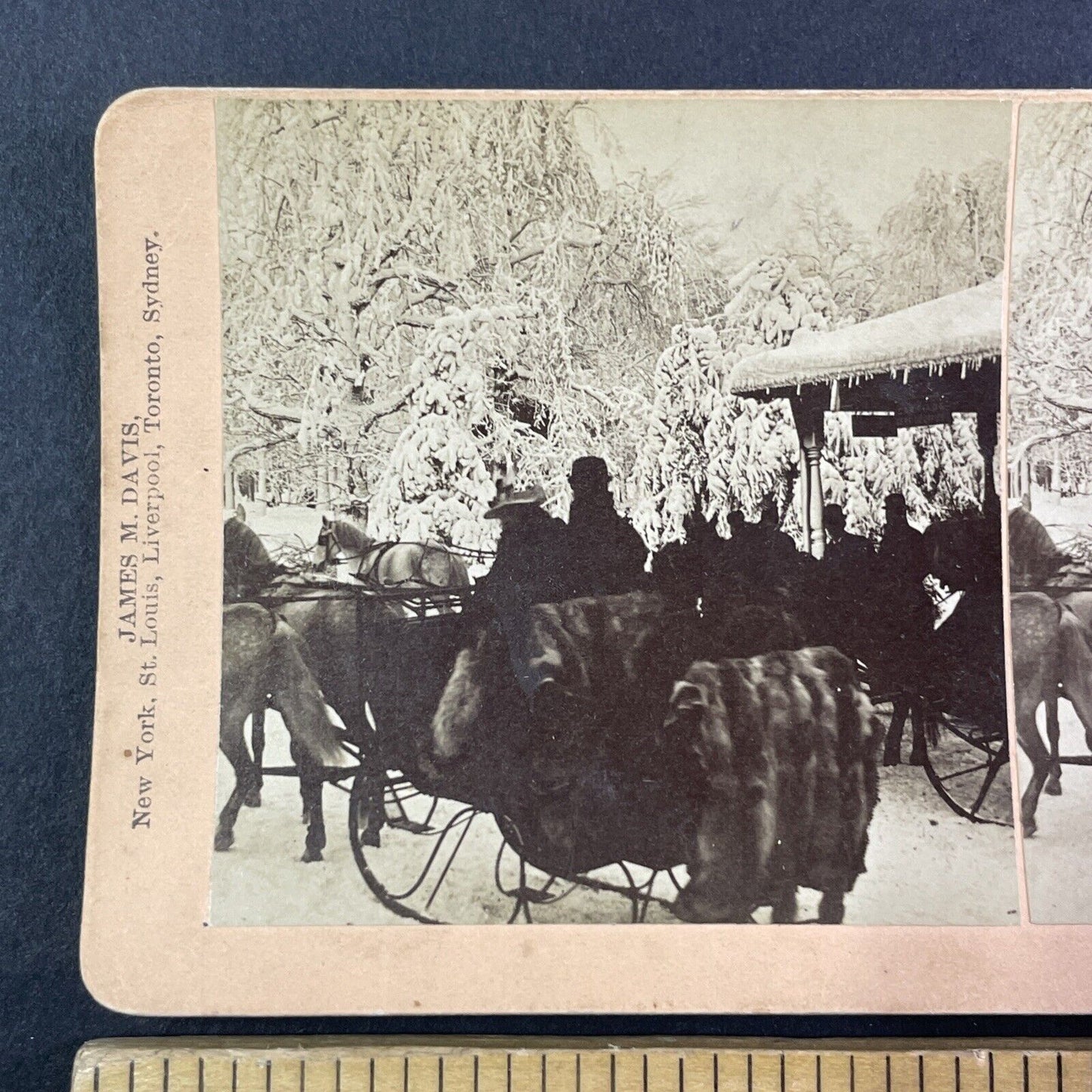 A Mink Lined Sleigh Stereoview Prospect Park New York Antique c1898 Y1865