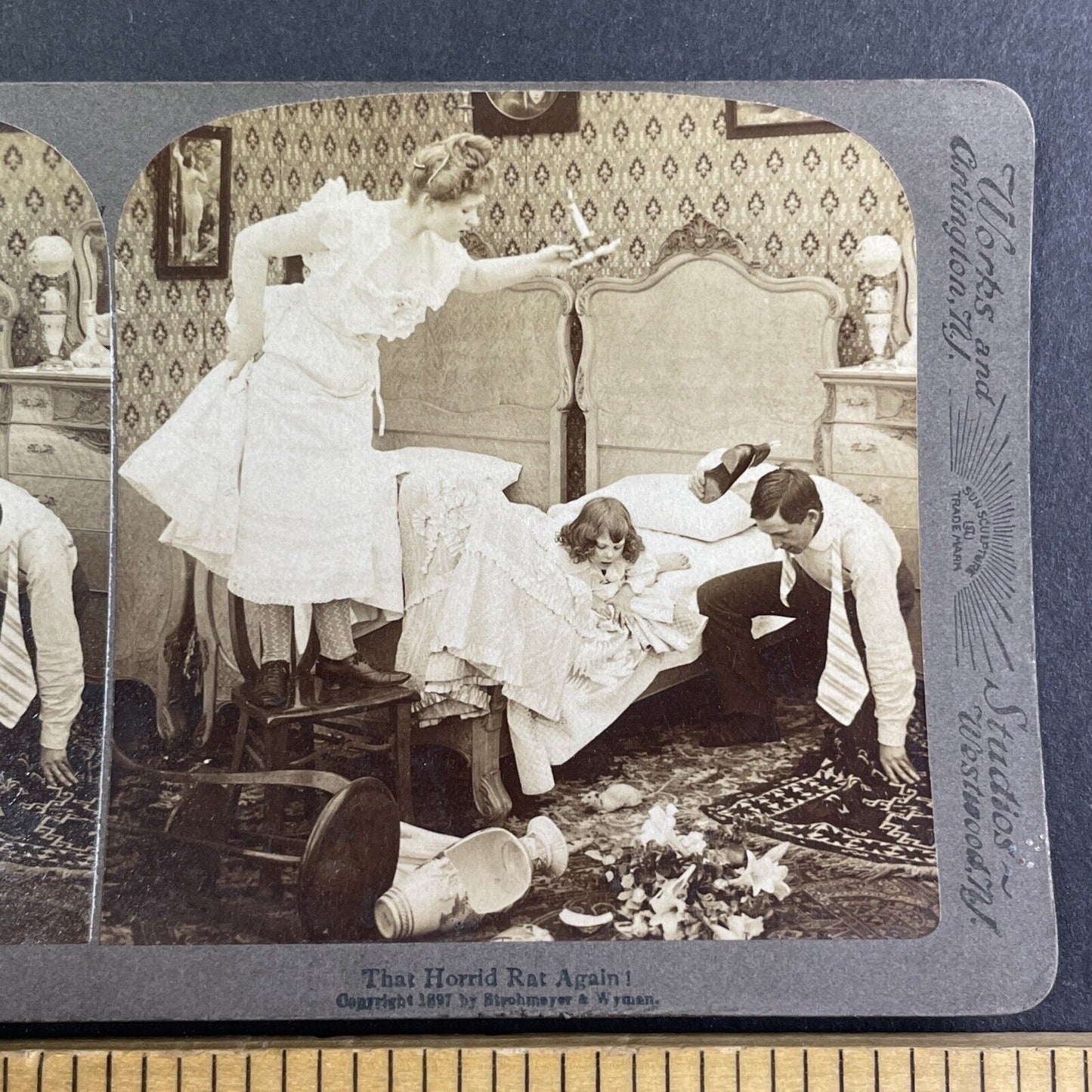 Woman Breaks an Austrian Vase Stereoview Rat Scare Antique c1897 Y1353