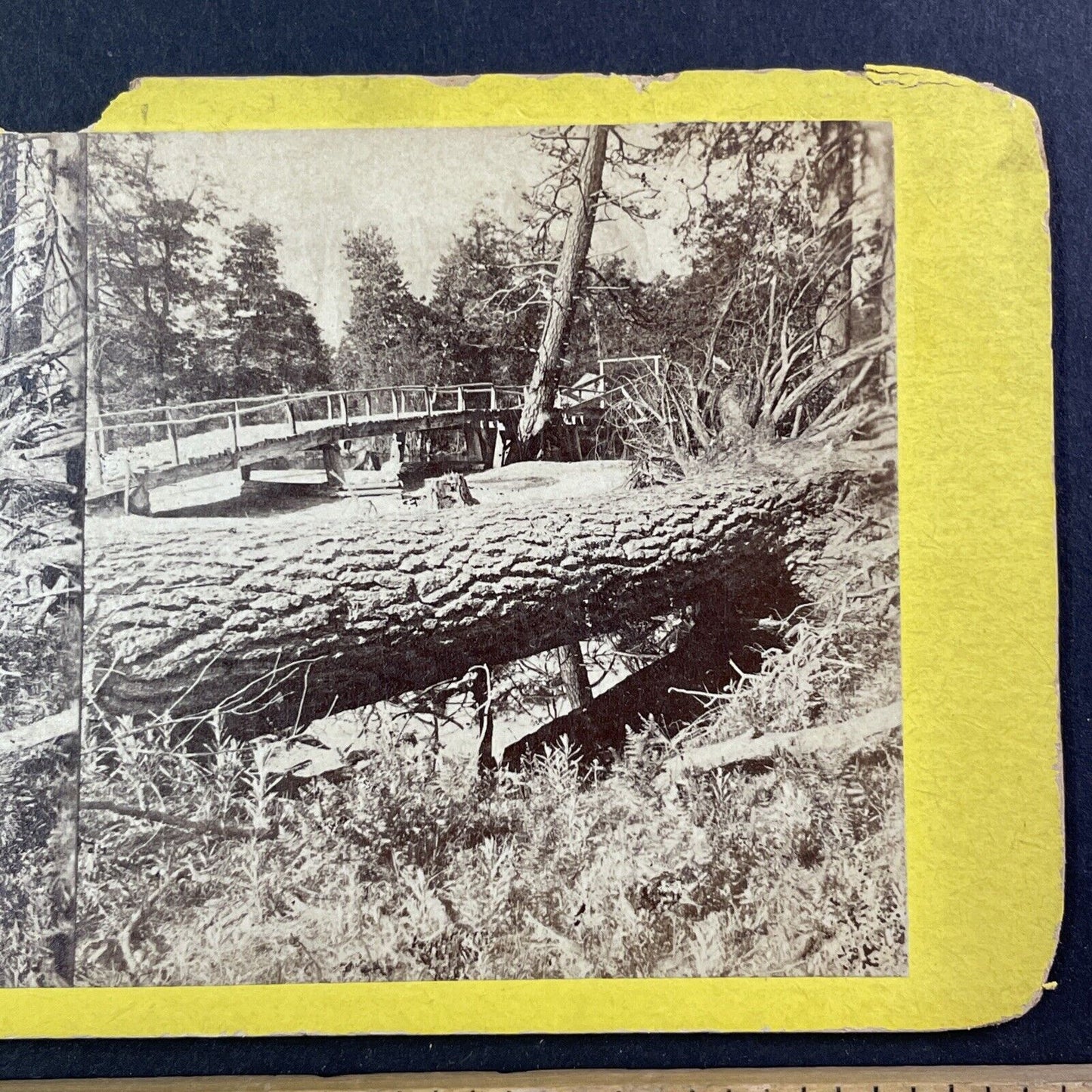 Cathedral Rocks From Bridge Stereoview Yosemite California Antique c1870s Y503