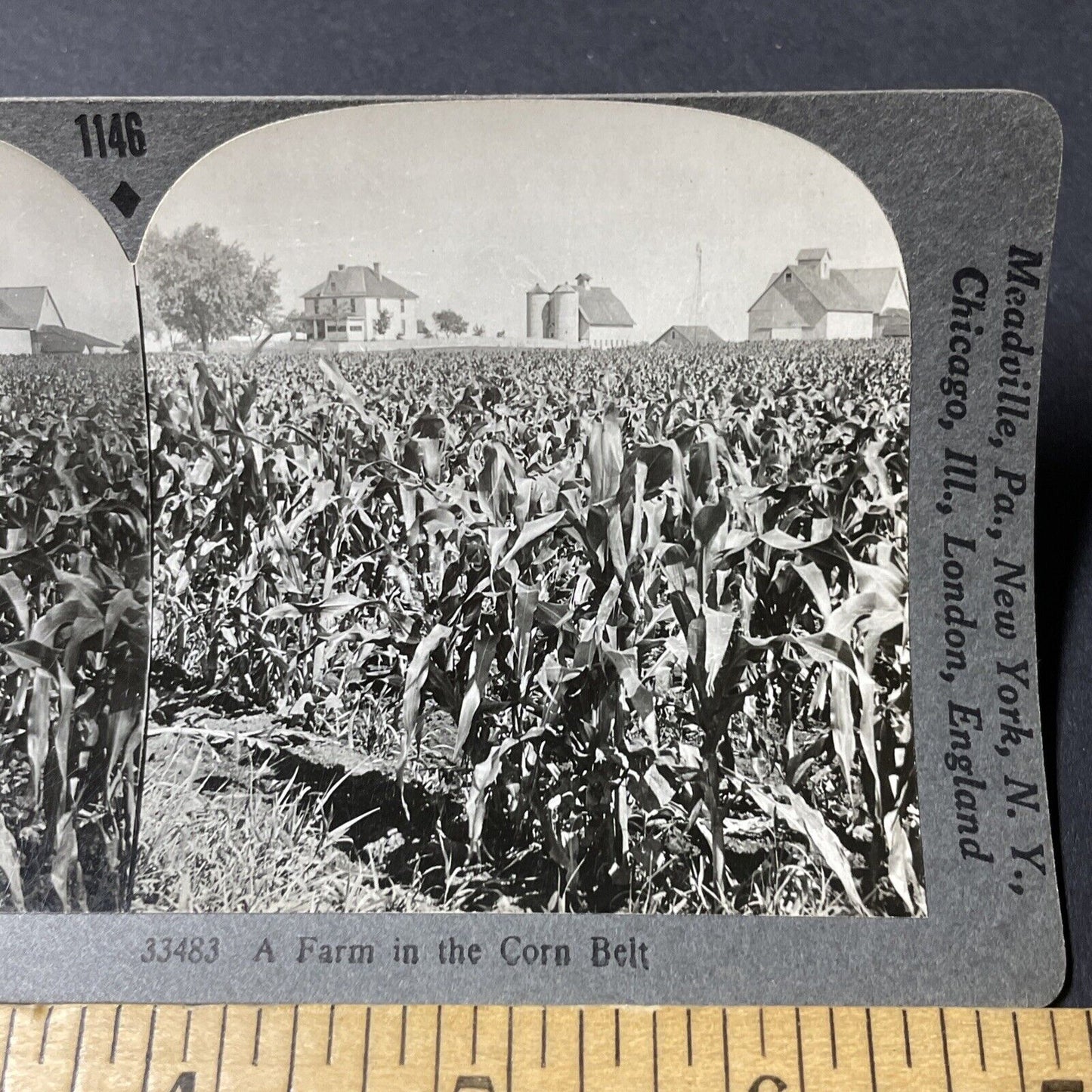 Antique 1910s Corn Farm Outside Bradford Iowa Stereoview Photo Card V2592