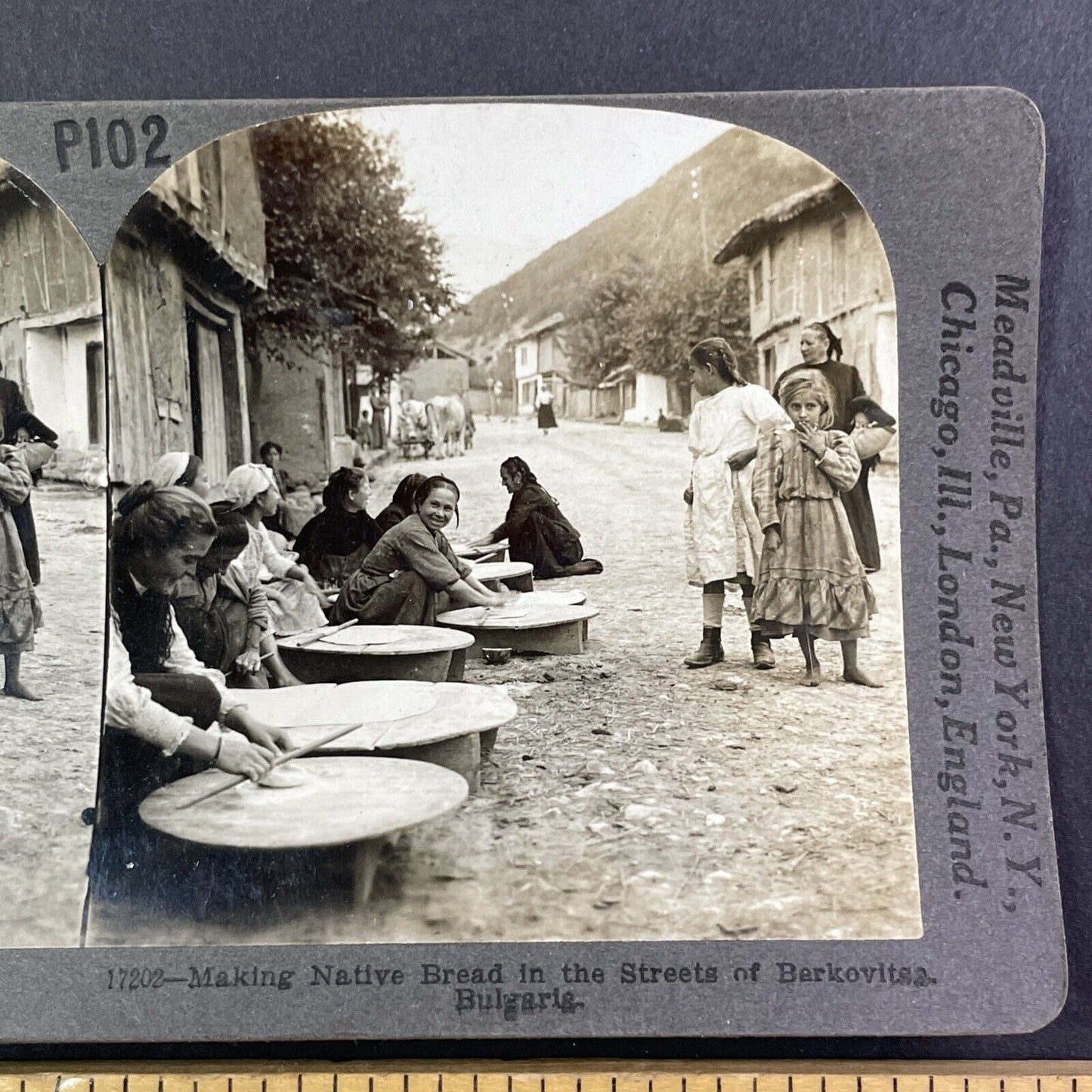 Berkovitsa Bulgaria Village View Stereoview Antique c1910s Y959