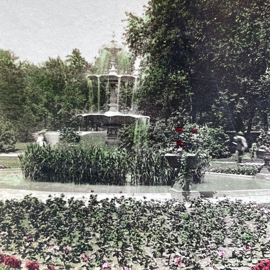 Antique 1909 Lincoln Park Garden Chicago Illinois Stereoview Photo Card P1924