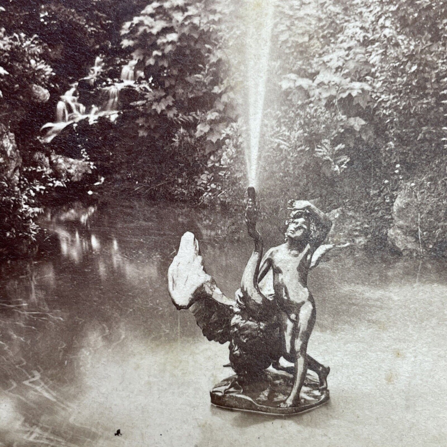 Antique 1860s Boy And Swan Pfaueninse Berlin Stereoview Photo Card P1150