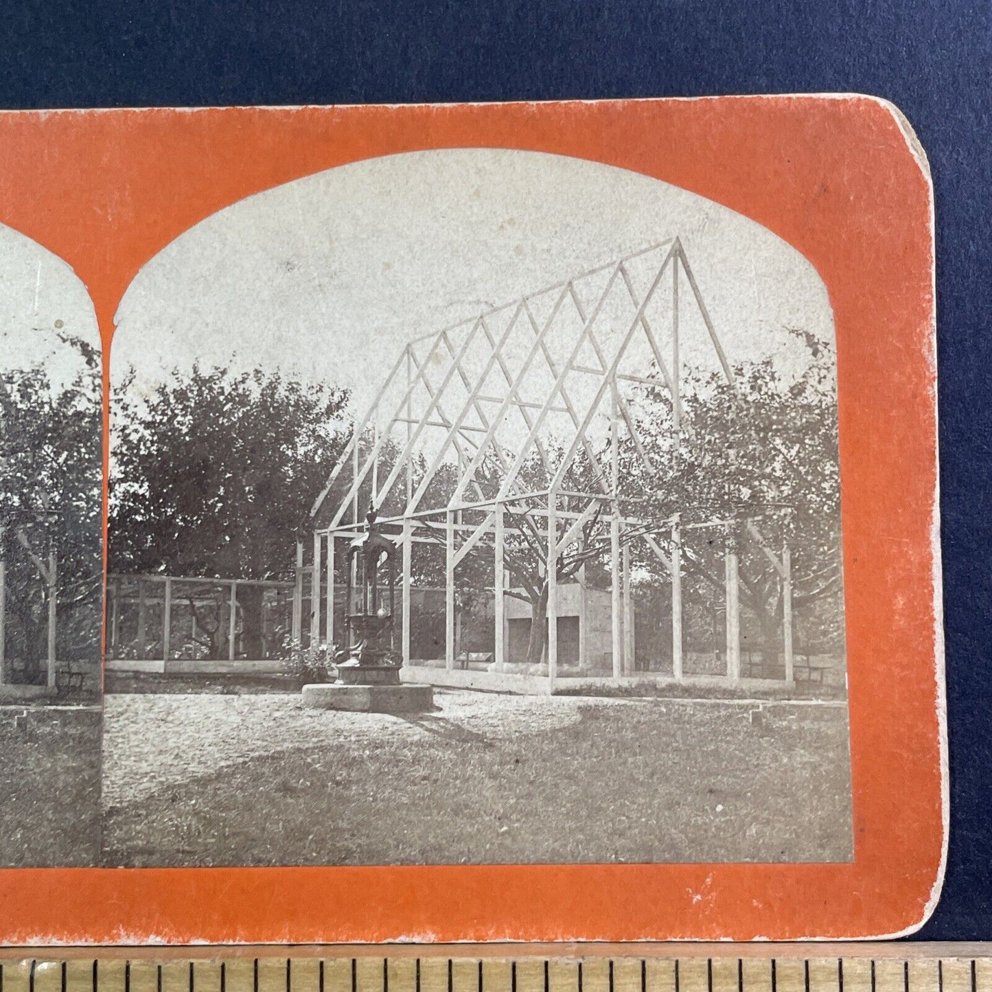 Building A Greenhouse Around A Rare Tree Stereoview Antique c1865 X1623