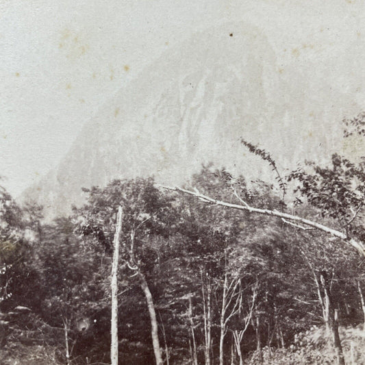 Antique 1850s Eagle Cliff Mountain New Hampshire Stereoview Photo Card V1962