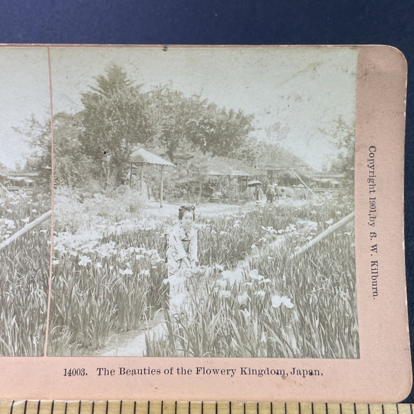 Antique 1901 Japanese Geisha In A Garden Japan Stereoview Photo Card P3845