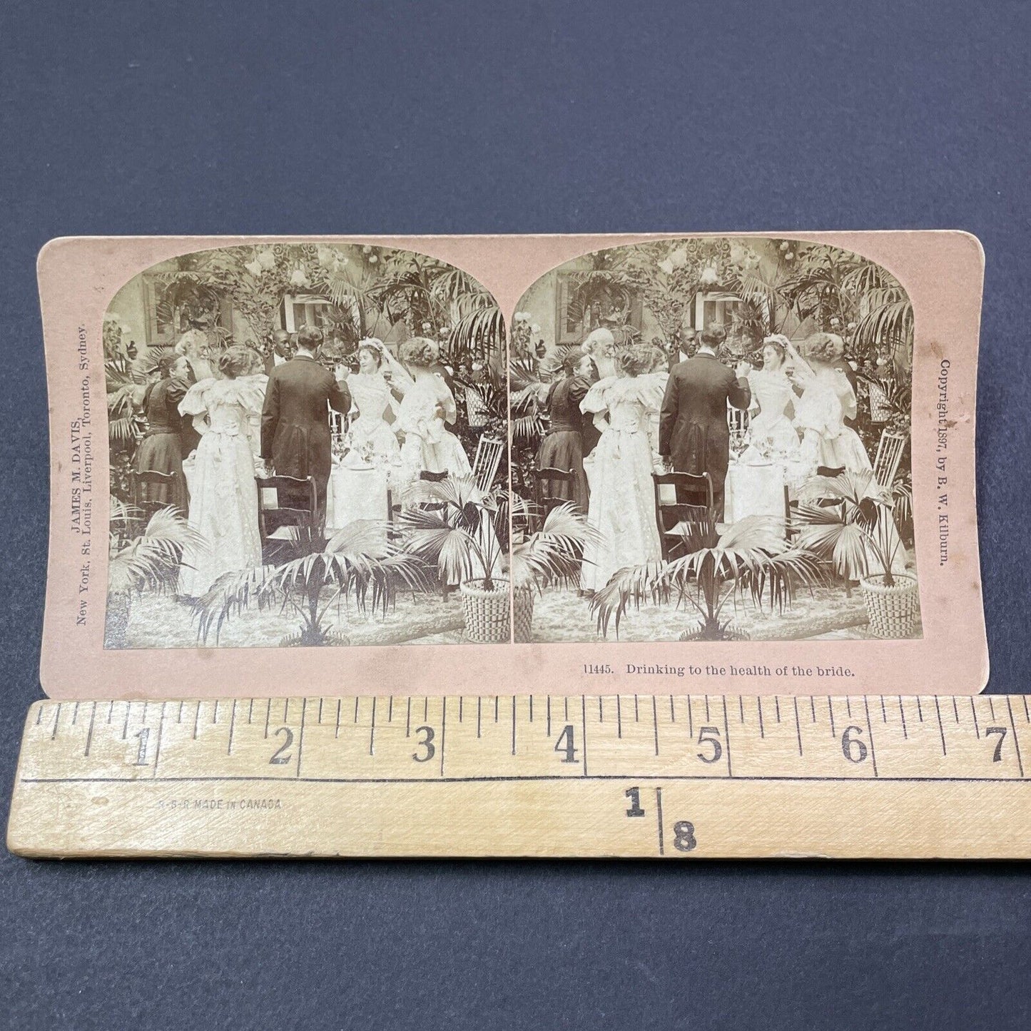 Antique 1897 Bride In A Tight Lacing Wedding Corset Stereoview Photo Card V2041