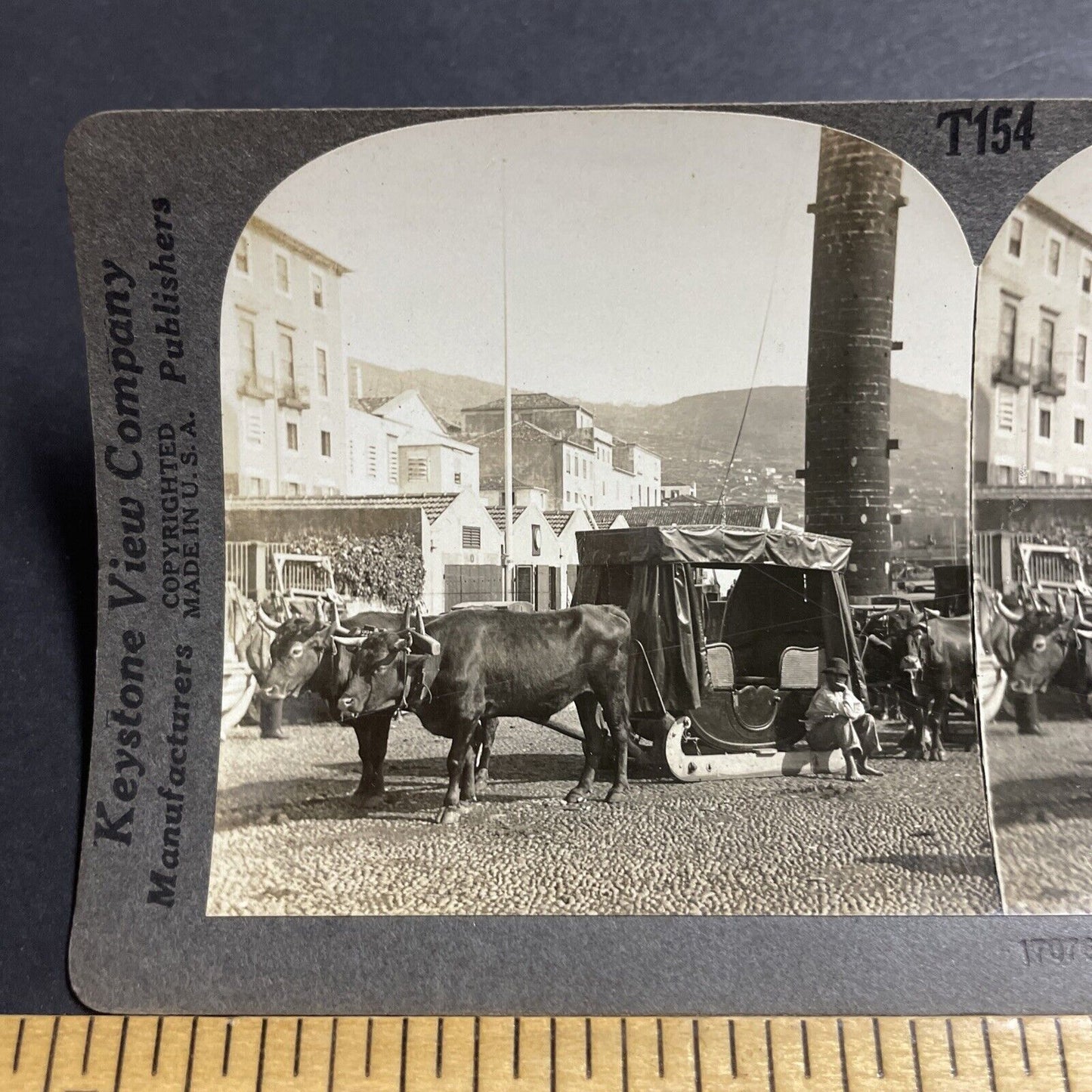 Antique 1910s Ox Oxen Taxi Sled Funchal Portugal Stereoview Photo Card P5059