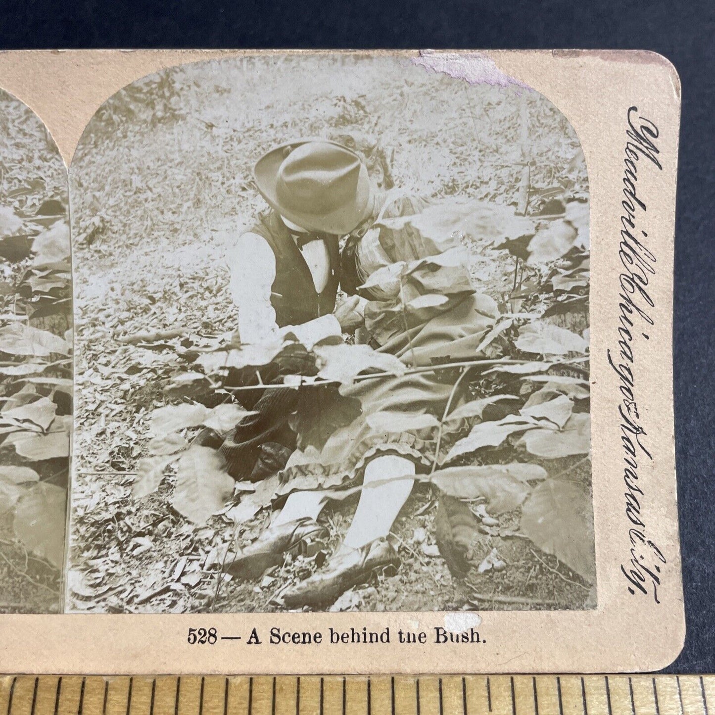 Antique 1890s Man And Woman Kissing In A Field Stereoview Photo Card P4733