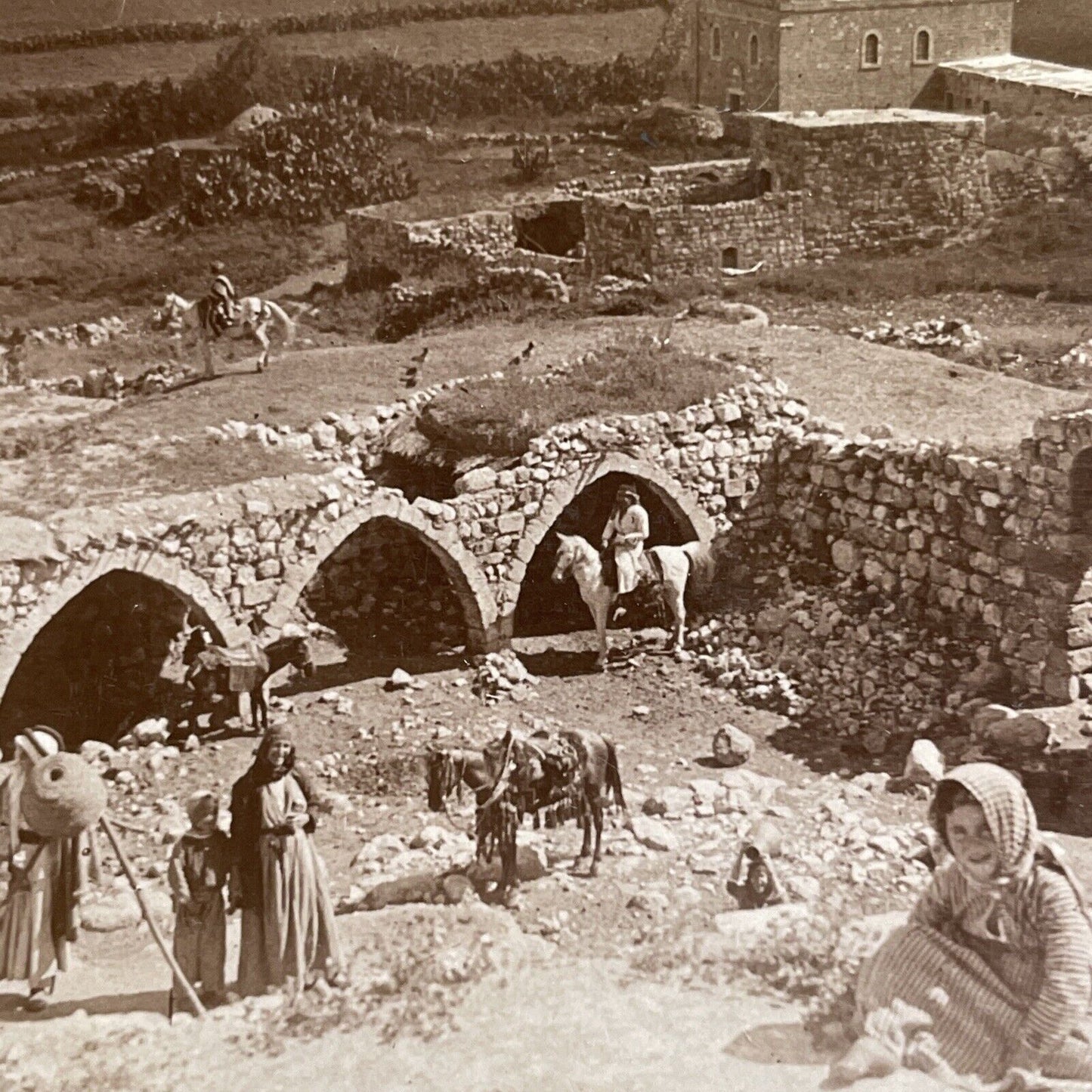 Antique 1901 Village Of Nein Israel Palestine Stereoview Photo Card P1330