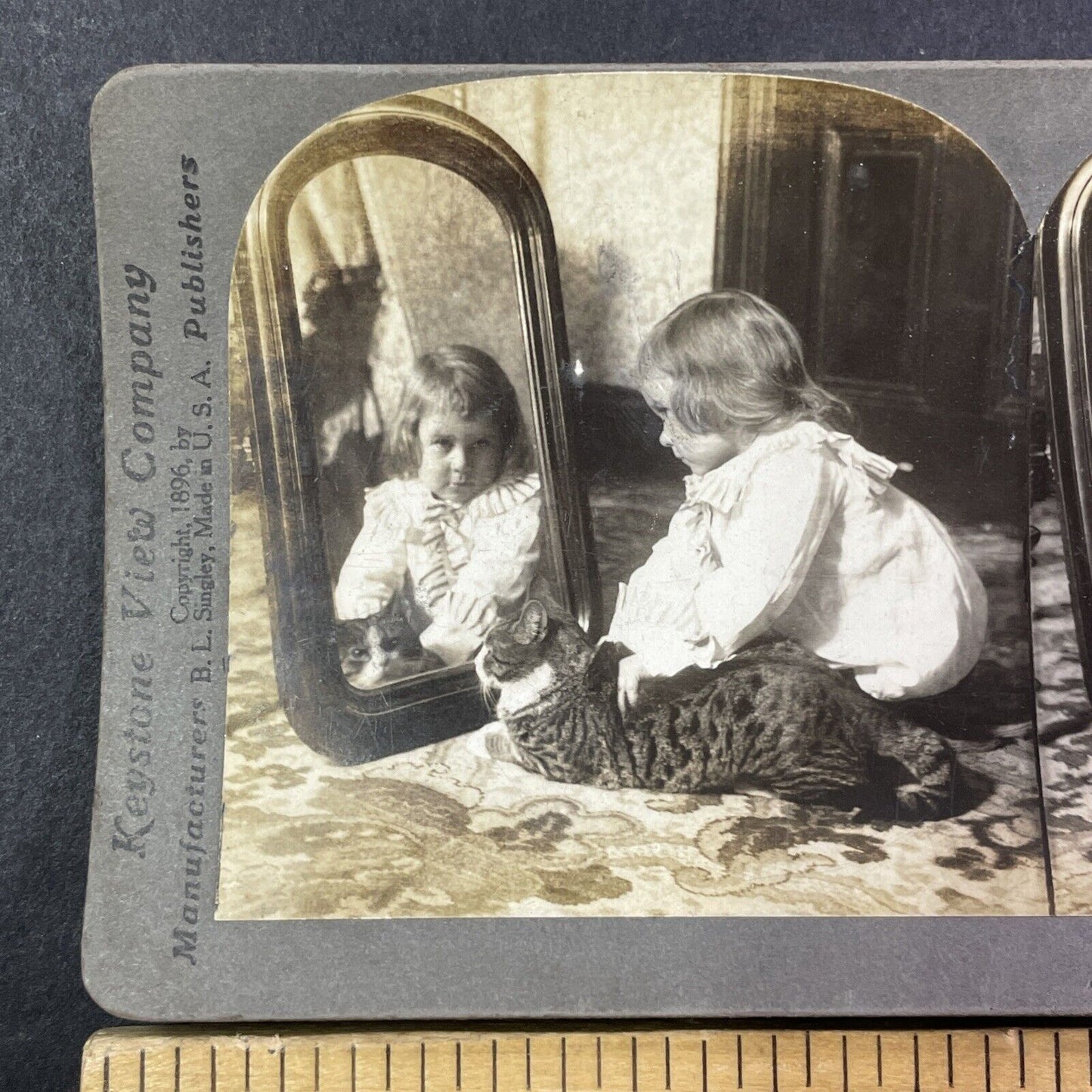 Child With A Large Cat In Mirror Stereoview Antique c1896 X2585