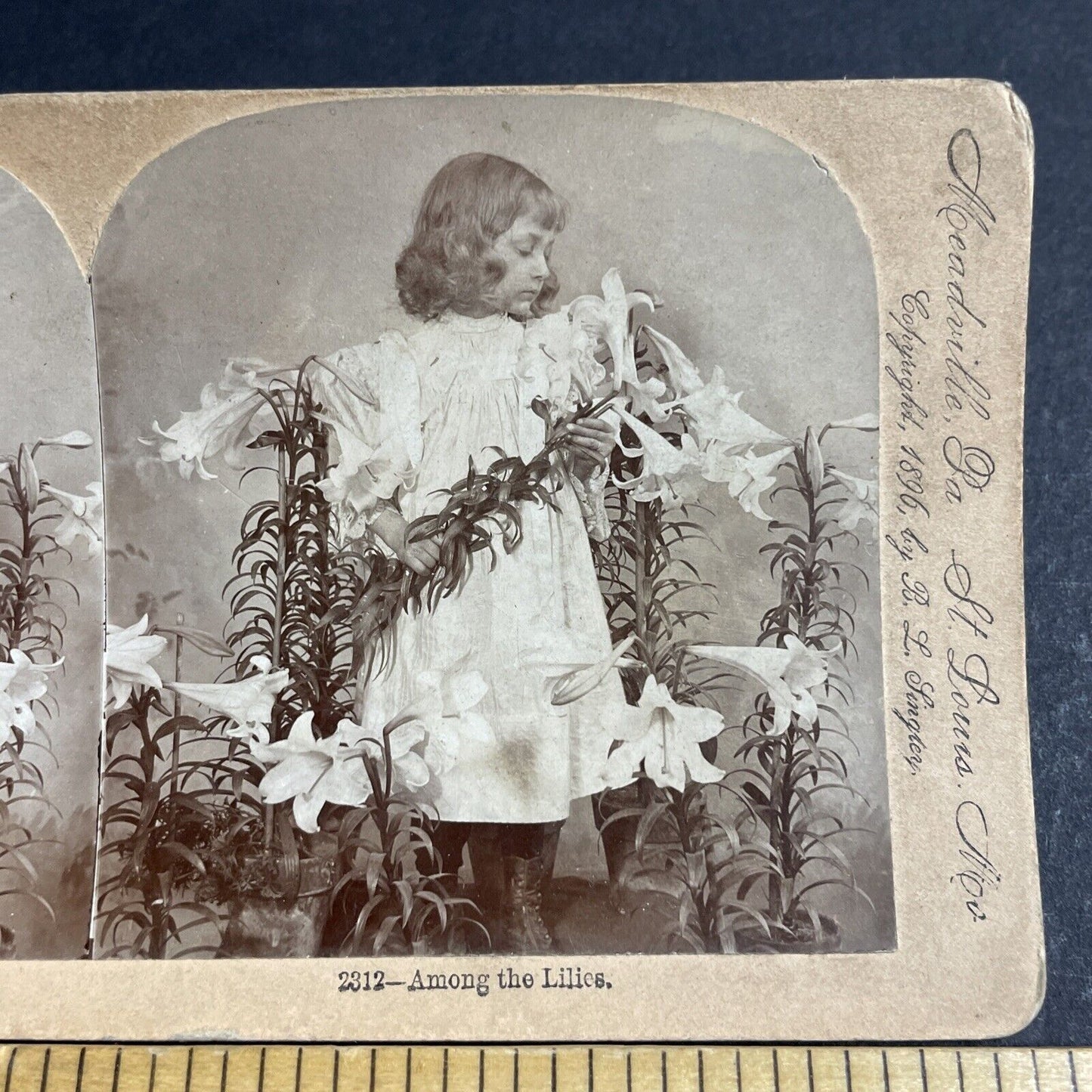 Antique 1896 A Child Poses With Lilies Lily Flowers Stereoview Photo Card P4751