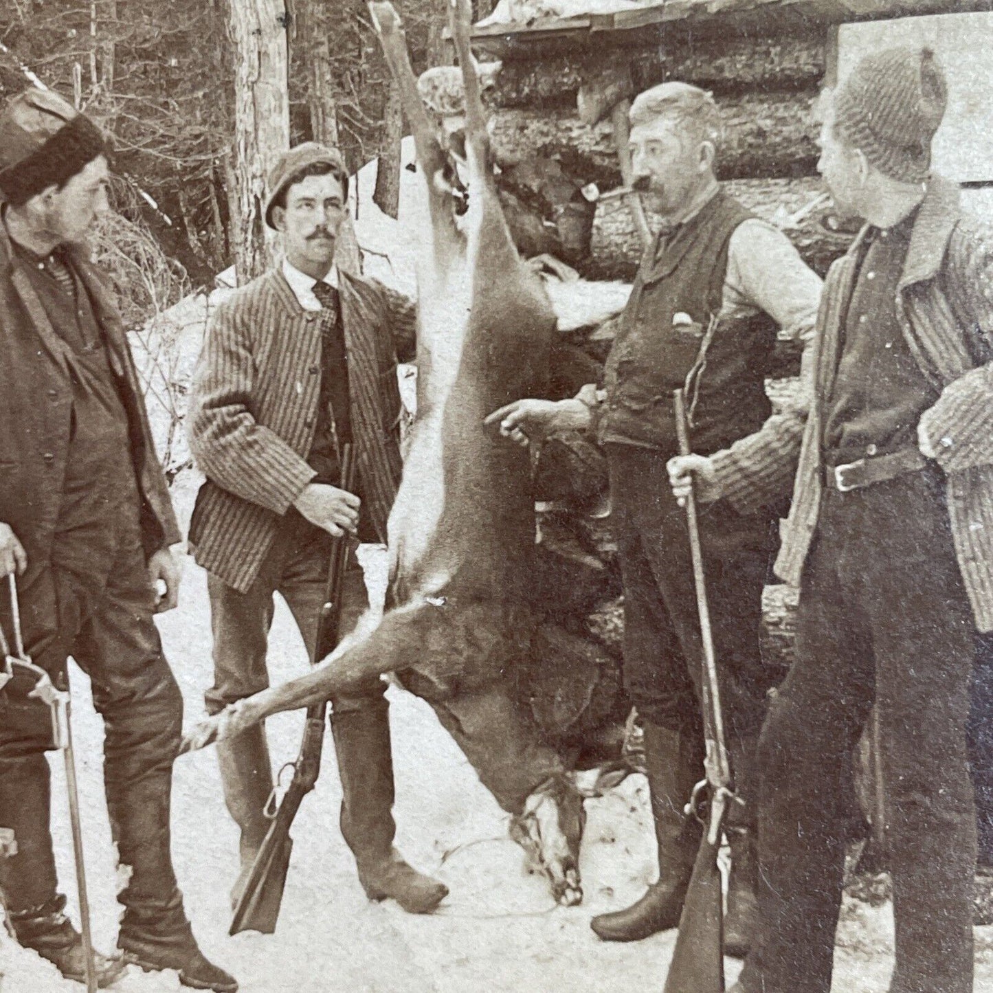Antique 1890 Hunters Hang A Deer After Hunt Stereoview Photo Card P3515
