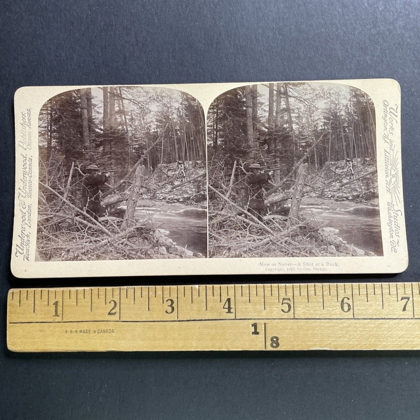 Antique 1893 Deer Hunting In New Hampshire Stereoview Photo Card P1656
