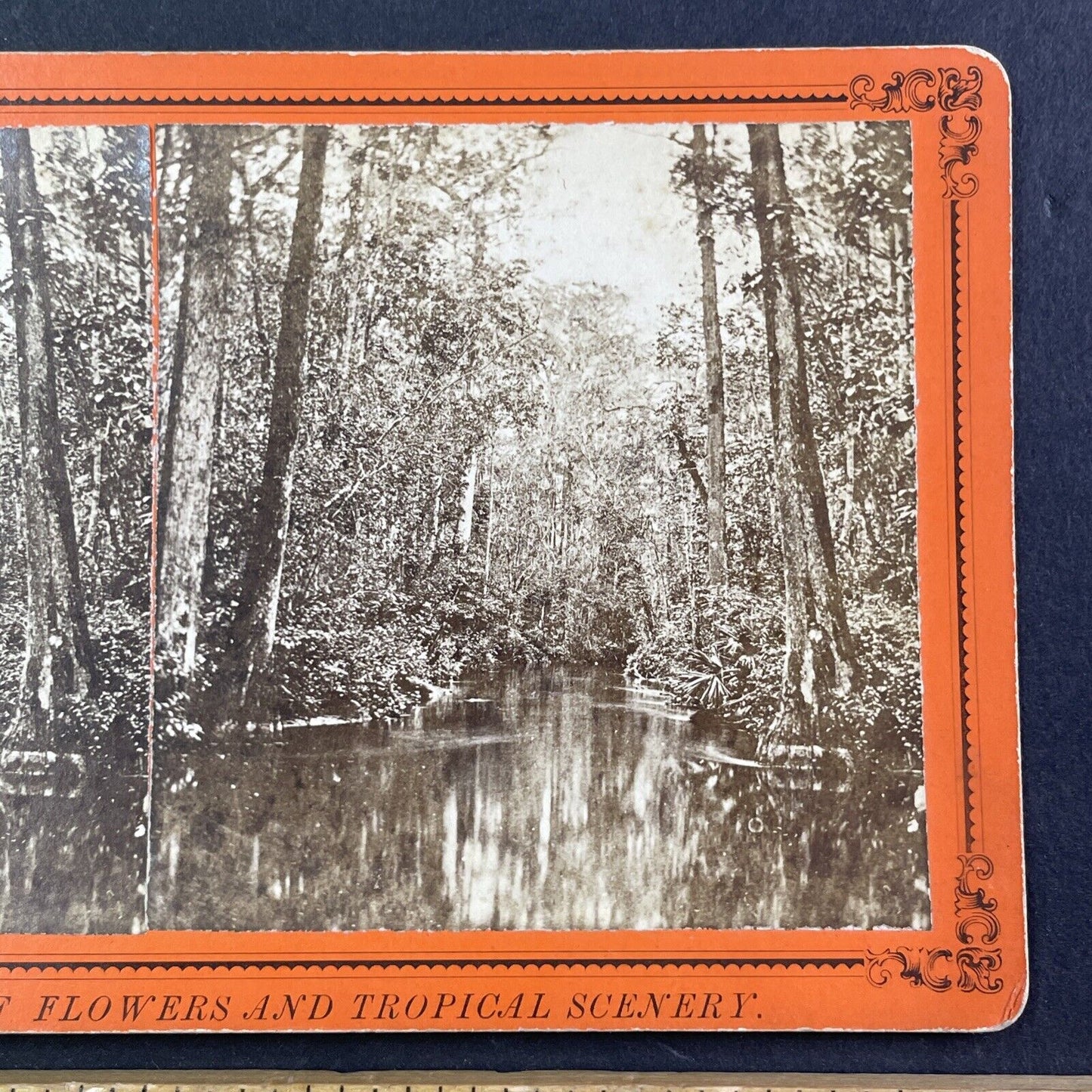 Ocklawaha River Eureka Florida Cypress Gate Narrows Stereoview c1870 Y082