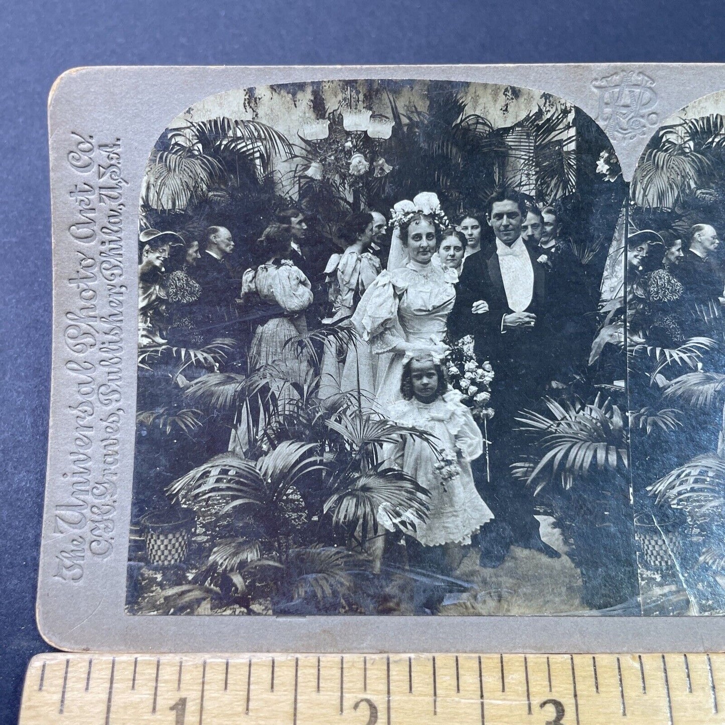 Antique 1898 Bride And Groom Leaving Wedding Stereoview Photo Card P2942