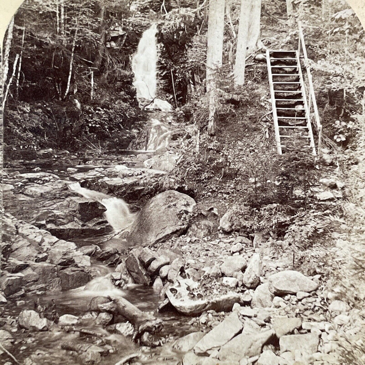 Beecher's Falls near Crawford House Stereoview New Hampshire c1870s Y1878