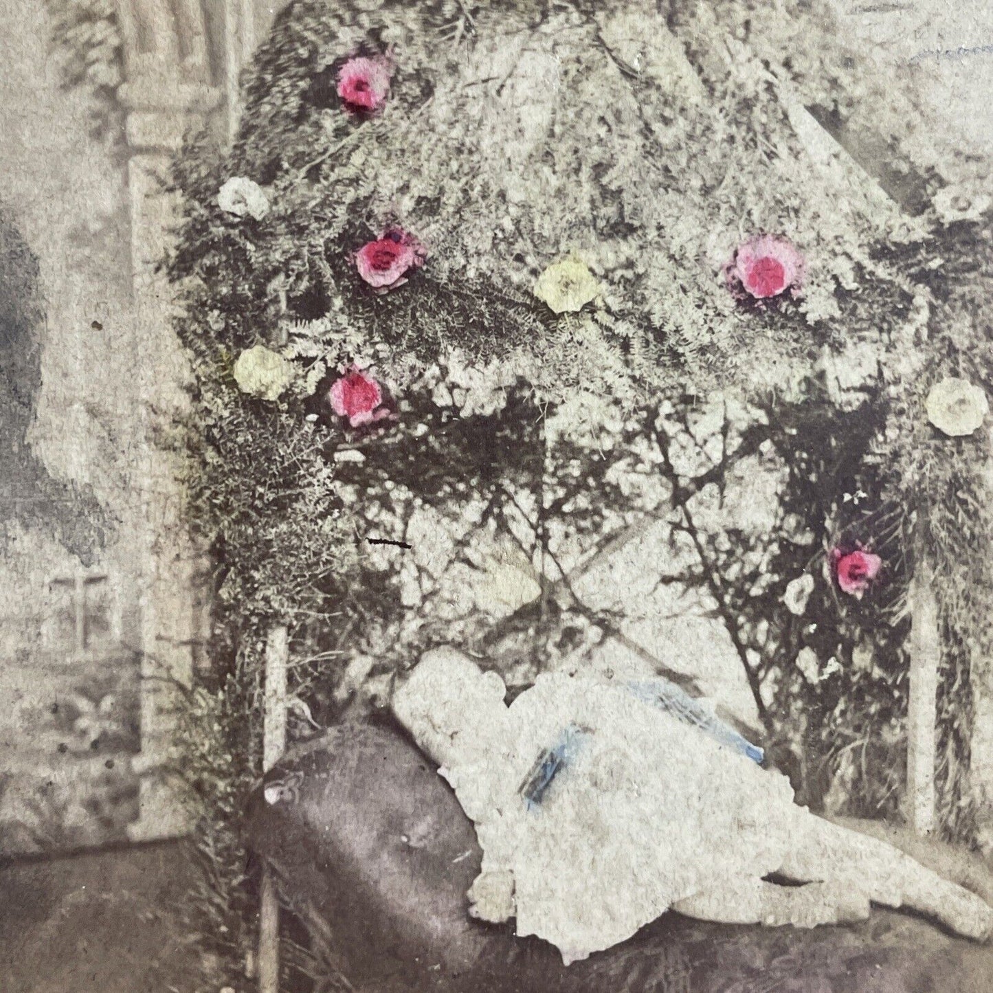 Antique 1870s Child Sleeping Under Arbor Of Branches Stereoview Photo Card P4042