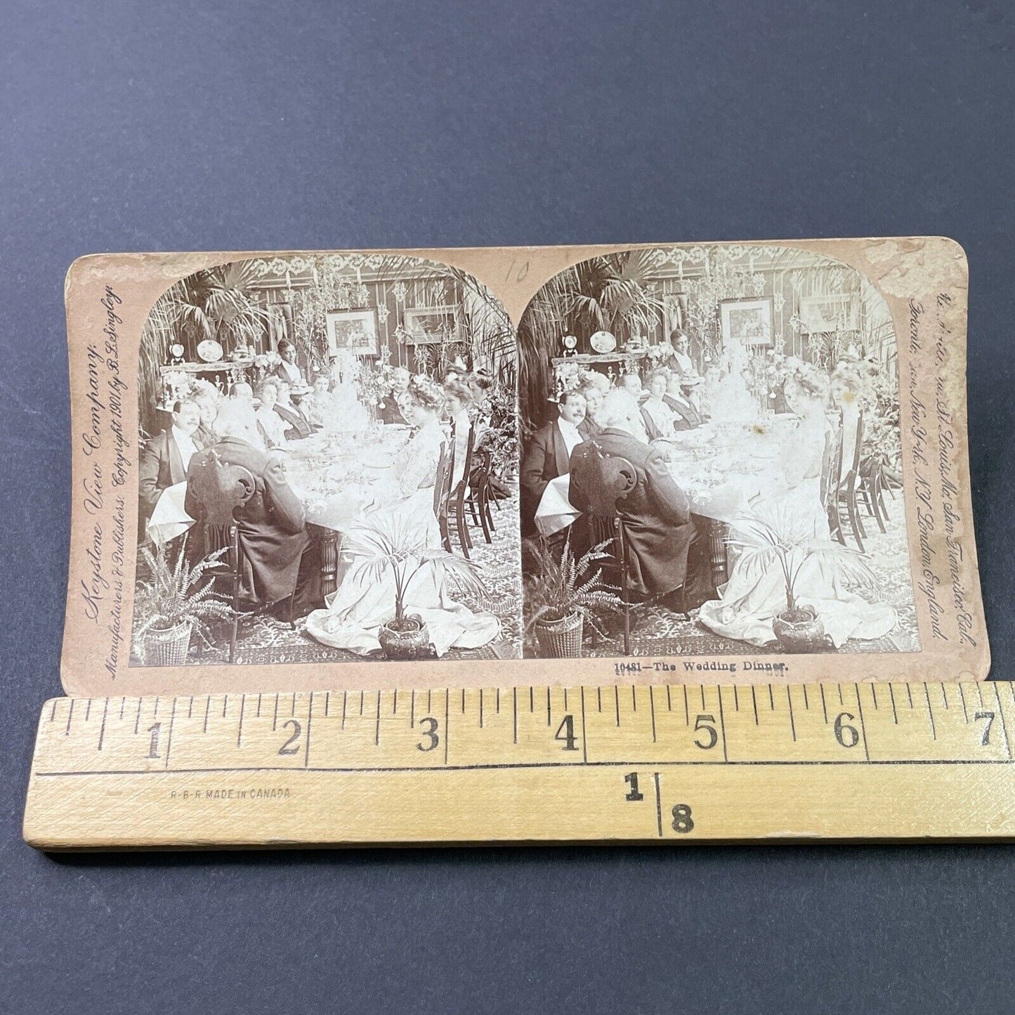 Antique 1901 Formal Victorian Wedding Dinner Stereoview Photo Card P2914