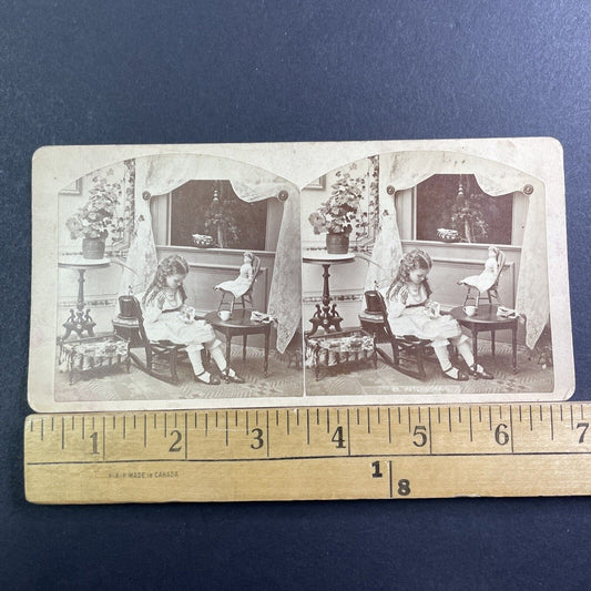 Little Girl And Porcelain Dolls Stereoview Uncle Waters Girl Antique c1900 X1527