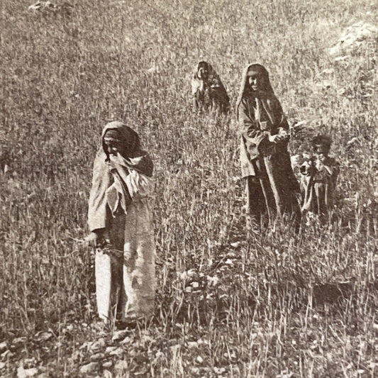 Antique 1900 Village Of Bethel Israel Palestine Stereoview Photo Card P1383