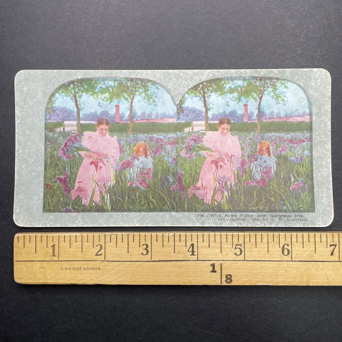 Antique 1898 Young Girls Picking Iris Flowers Stereoview Photo Card P580-047