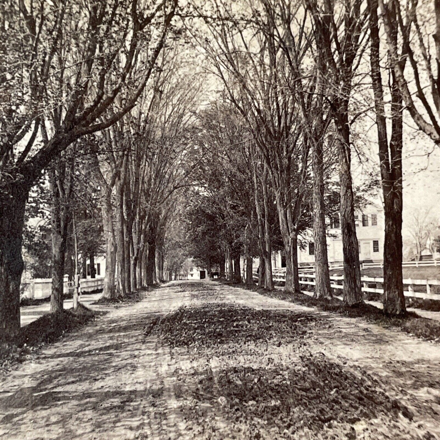 Main Street In Hanover NH Stereoview Photo Henry Osgood Bly Antique c1869 X964