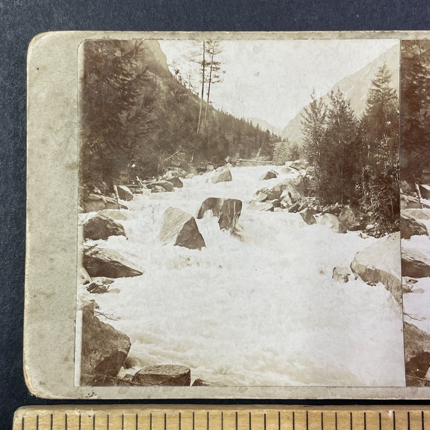 Argut River Altai Mountains Russia Stereoview IR Tomashkevich Antique 1893 X2579