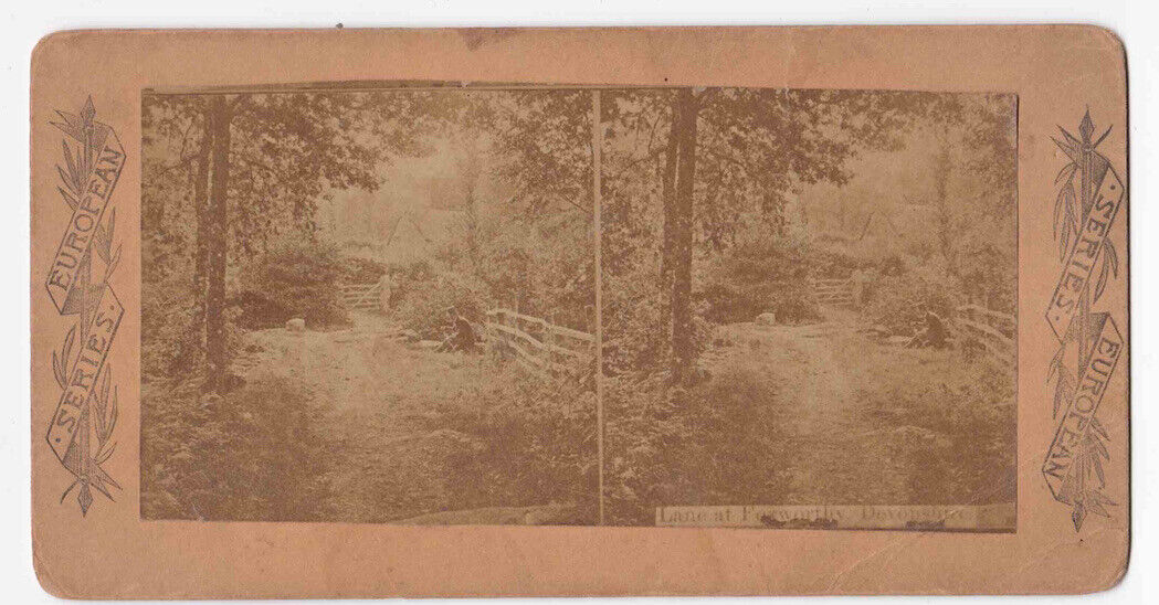 Very Rare! Antique 1860s Lane At Foxworthy Devonshire England Photo Card P034