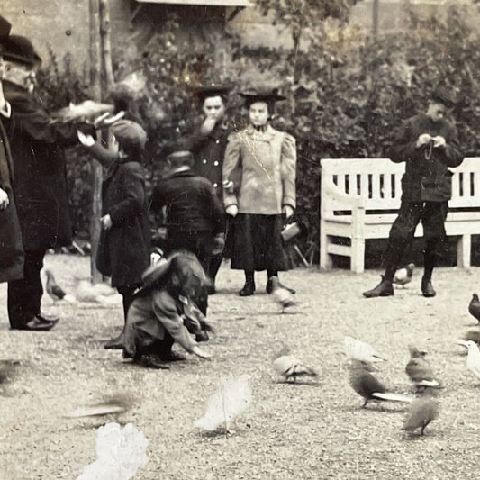 Antique 1907 Children Feed Pigeons Copenhagen Denmark Stereoview Photo Card 4209