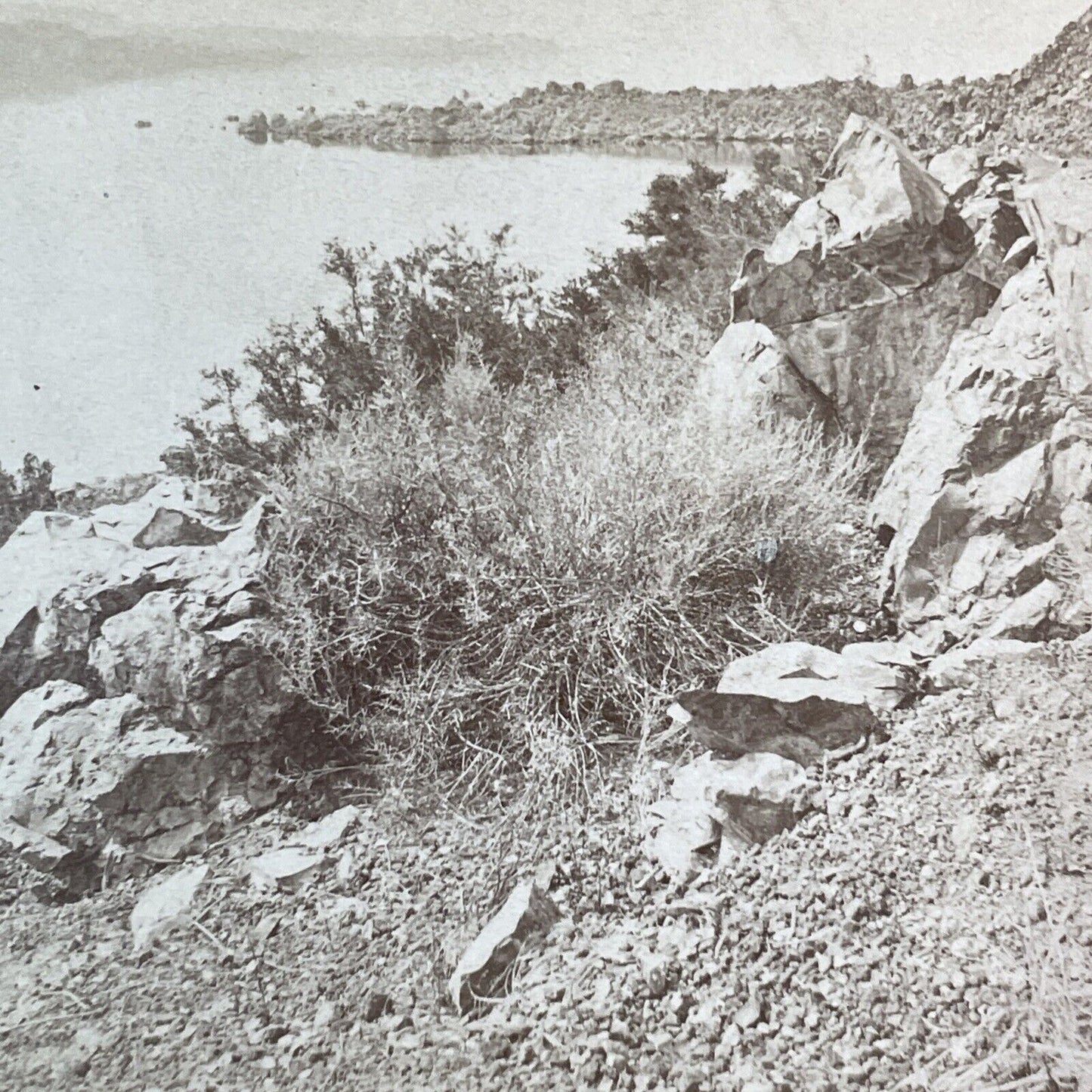 Mono Lake California Stereoview Rare Early Photo Antique BW Kilburn c1870s Y923