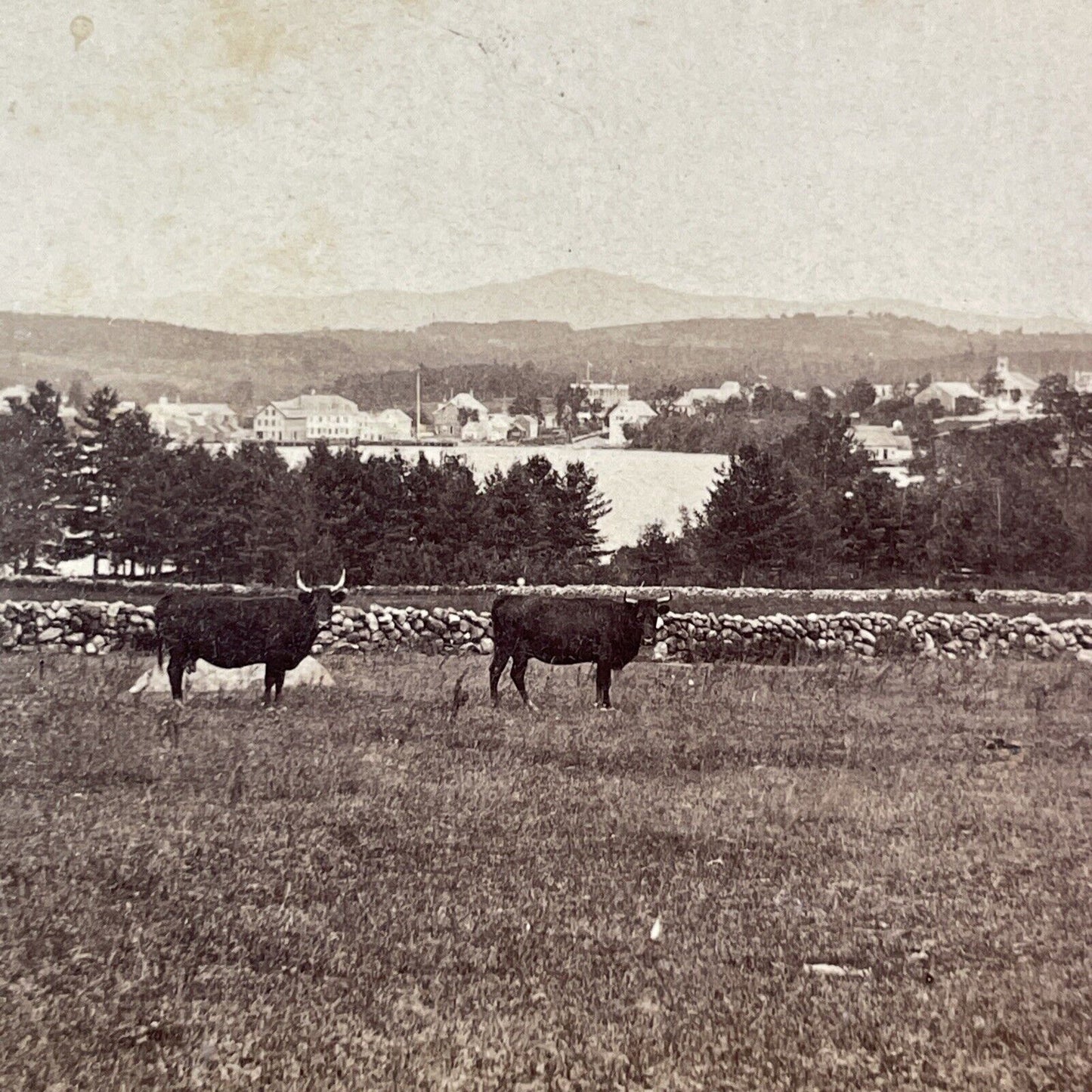 Wolfeboro New Hampshire Stereoview Clarks Point Photo Card Antique c1870 X929