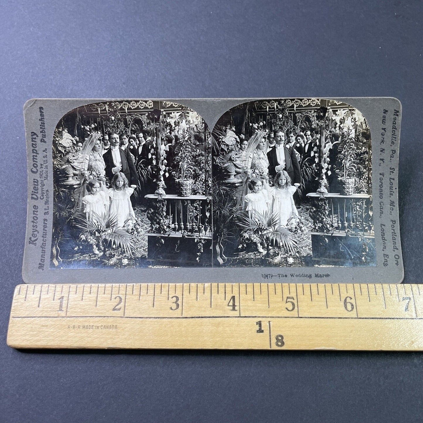 Antique 1901 Bride Groom & Flower Girls Stereoview Photo Card P2848