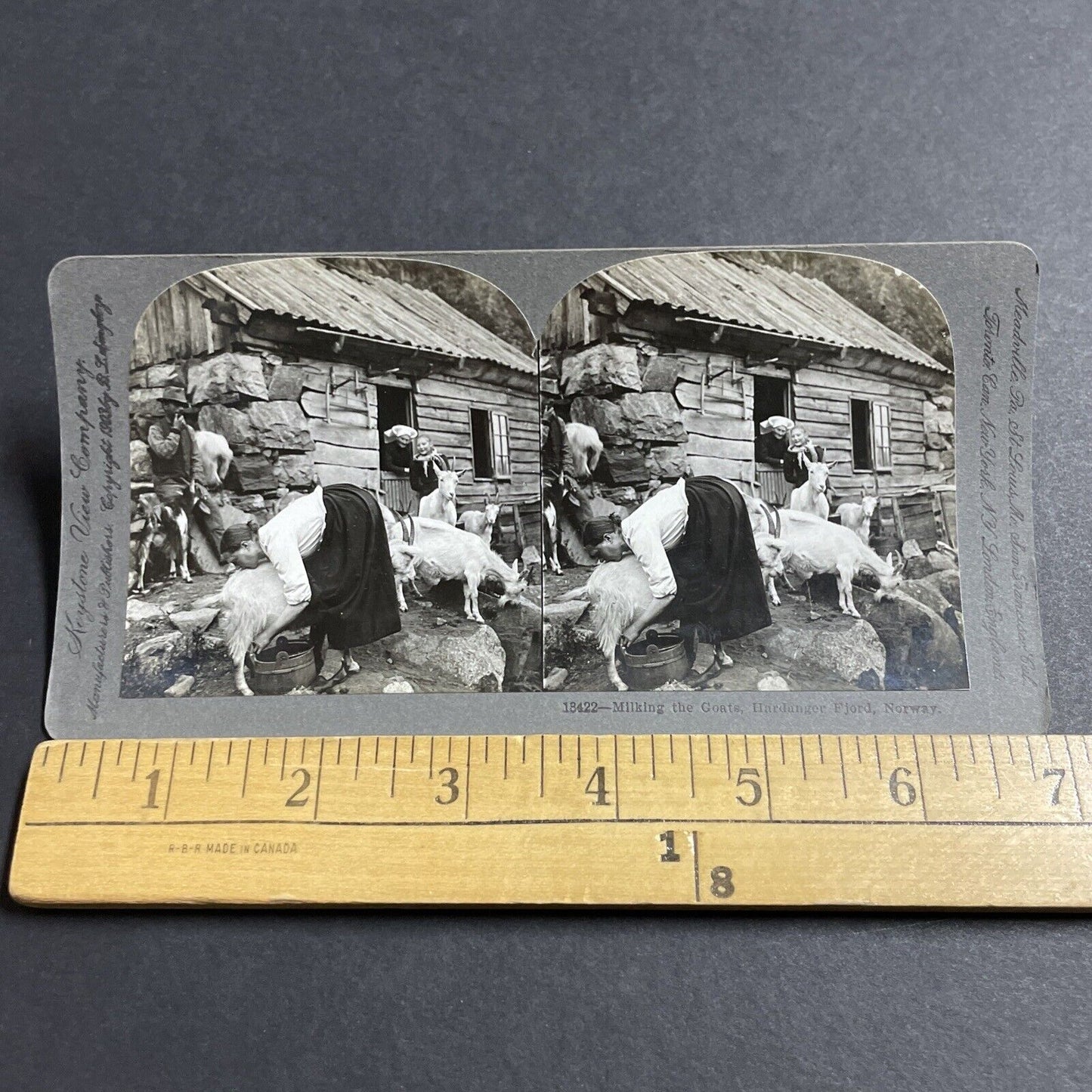 Antique 1903 Girl Milks Goat Northern Norway Stereoview Photo Card P5219