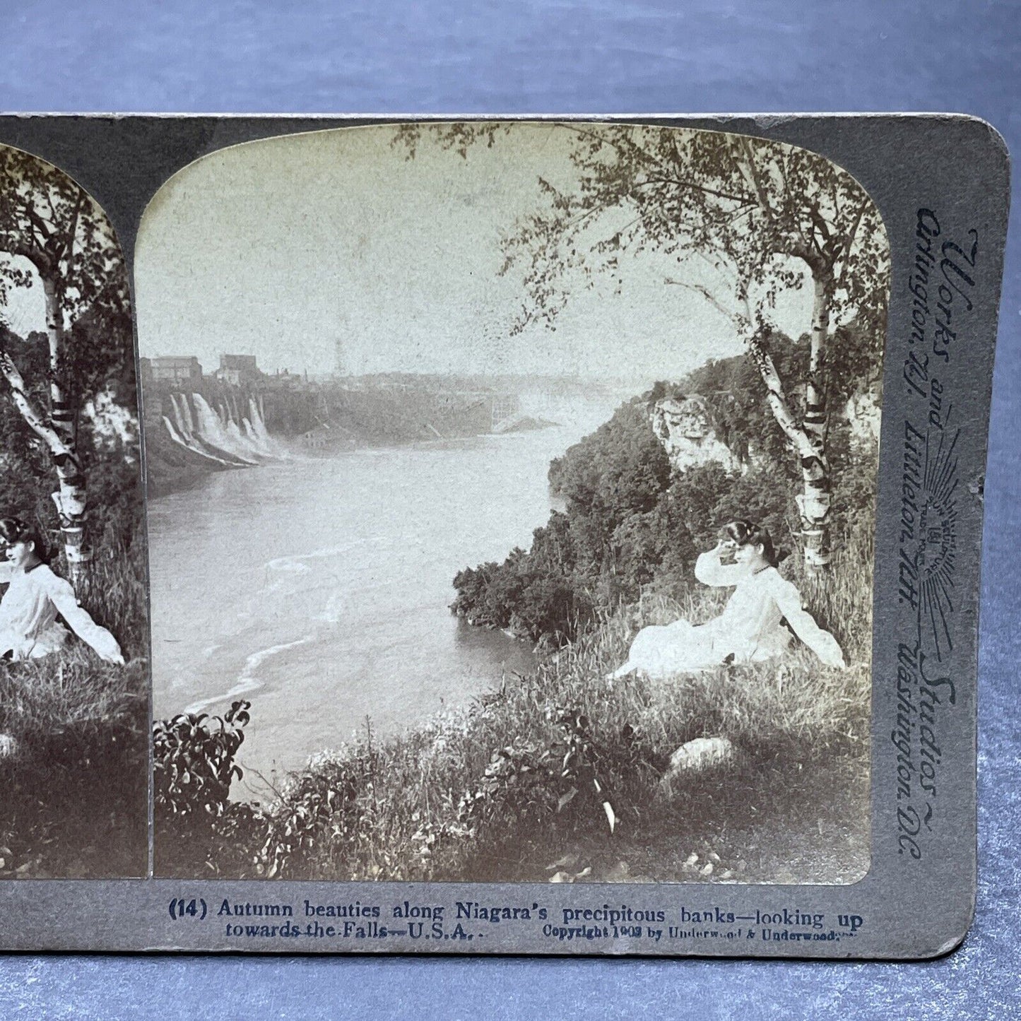 Antique 1903 Woman In Queenston Heights Ontario Stereoview Photo Card P580-081