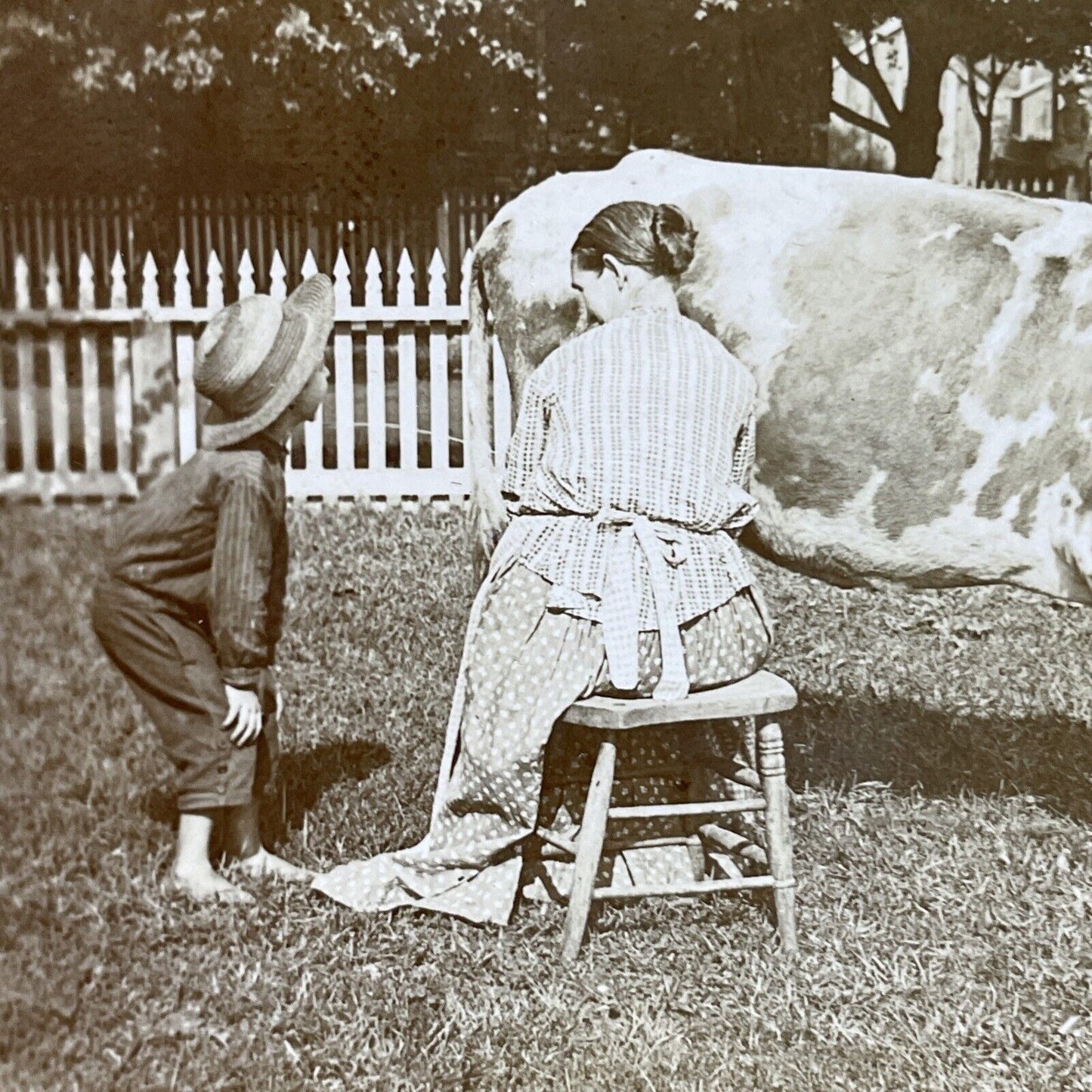 Antique 1893 Woman Squirts Milk Into Boy's Mouth Stereoview Photo Card P3117