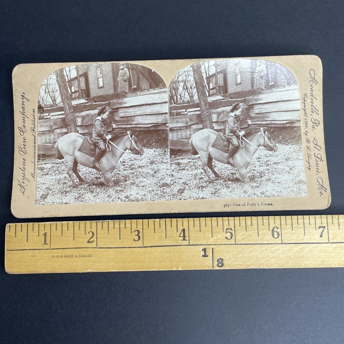 Antique 1894 Boy & Pony Dismount Trick  Stereoview Photo Card PC777