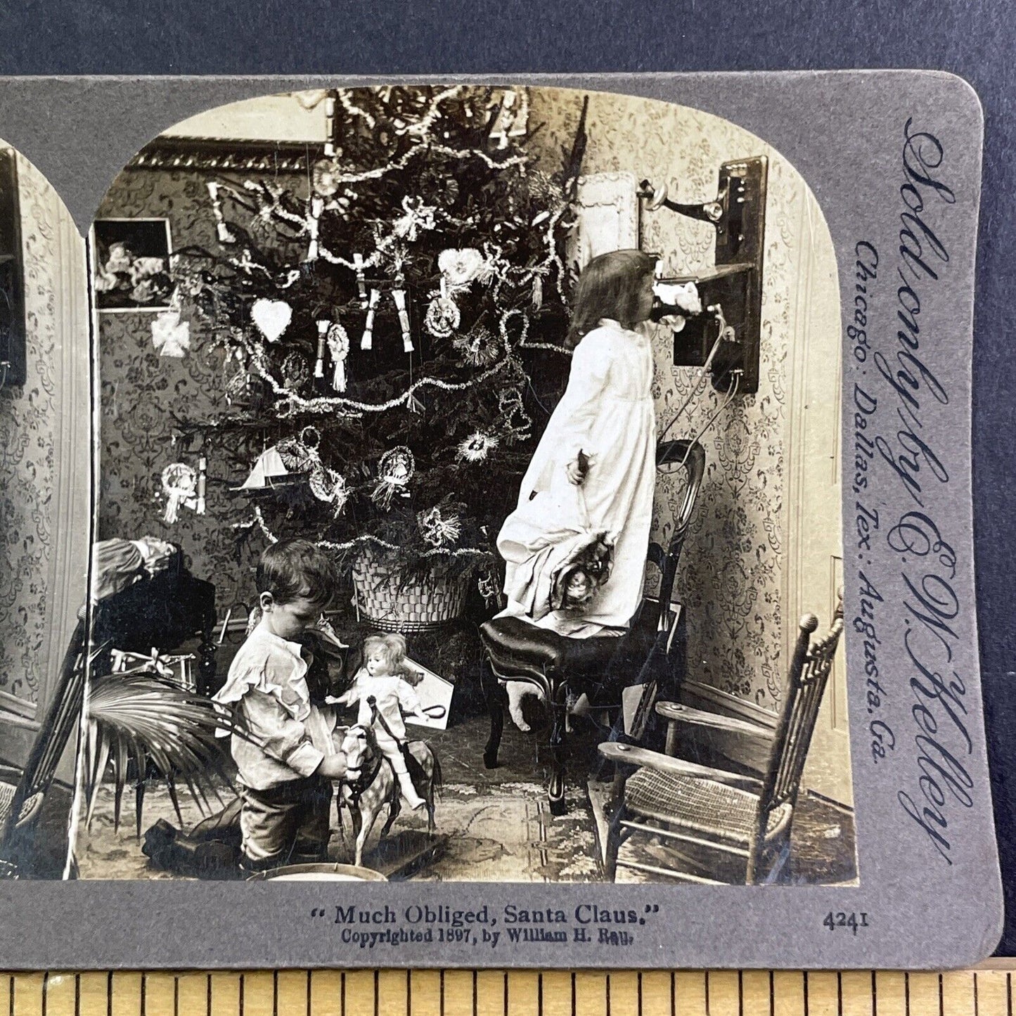 Early Photo Of A Christmas Tree Stereoview William H Rau Antique c1897 X1839