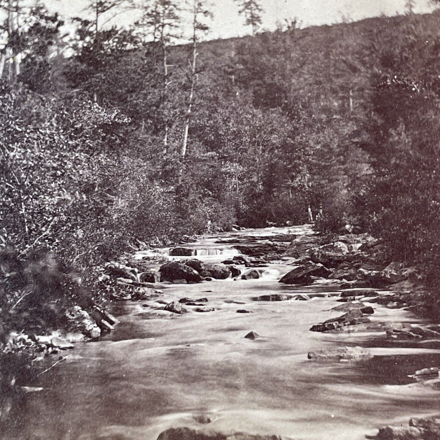 The Rattle River Lot Of 3 Stereoview New Hampshire Antique c1870 X3232