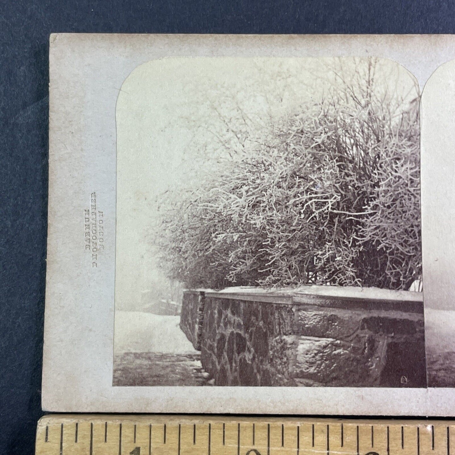 Boston MA Stone Wall In Winter Stereoview Barnum Photo Antique c1860s X1574