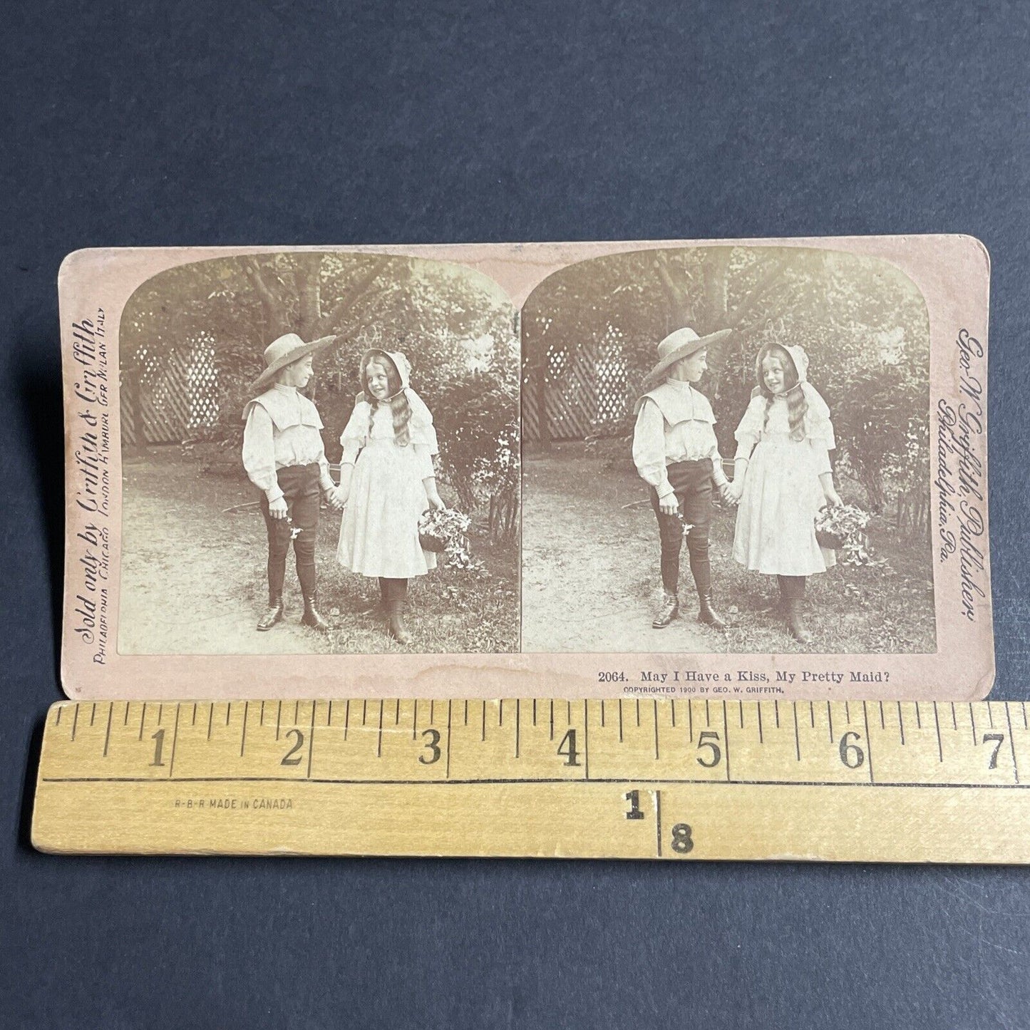 Antique 1900 Boy And Girl Hold Hands In Garden Stereoview Photo Card P4625