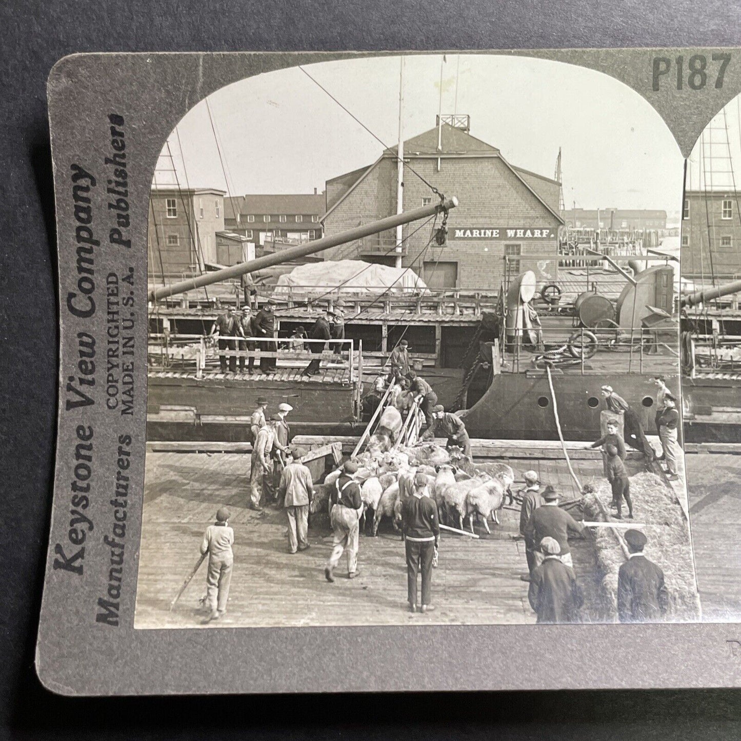 Antique 1910s Marine Wharf Charlottetown PEI Stereoview Photo Card P1448