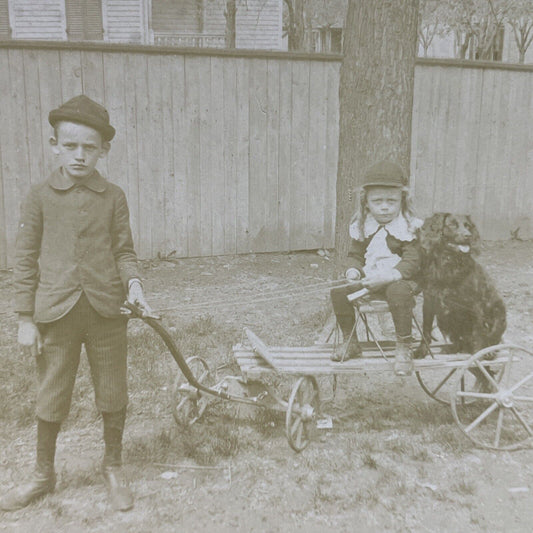 Antique 1870s Boy Pulls A Dog On A Wagon Cart Stereoview Photo Card P4111