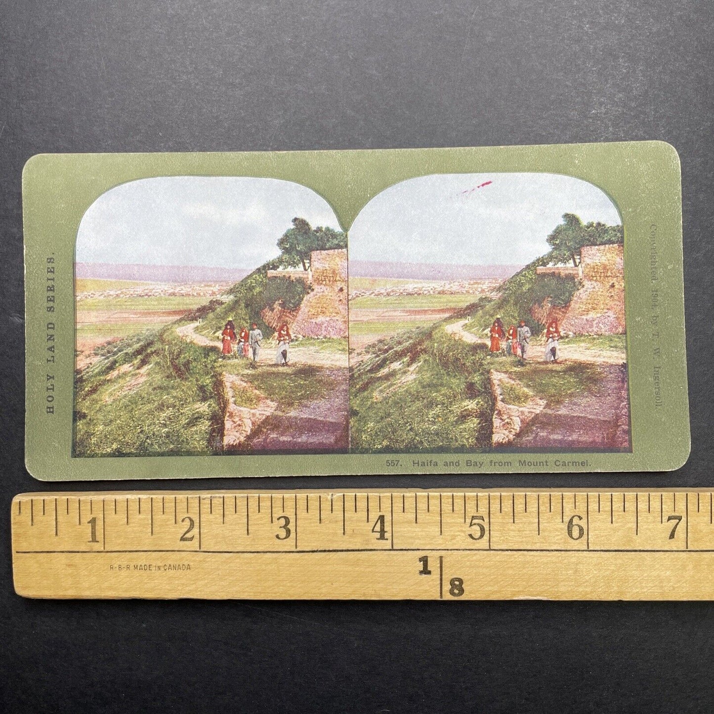 Antique 1904 Haifa Palestine Israel & Mt Carmel Stereoview Photo Card P580-098